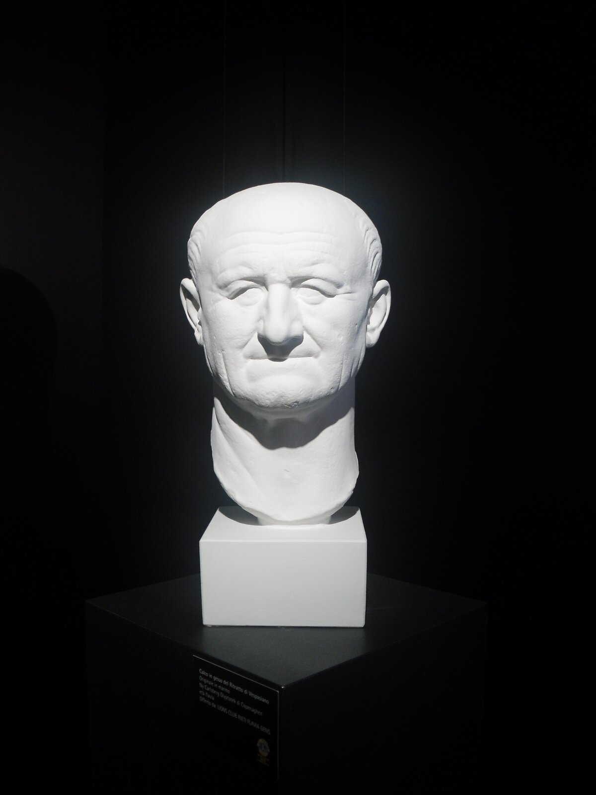 Ilustracja przedstawia gipsowy odlew popiersia Wespezjana, który znajduje się obecnie w Muzeum archeologicznym w Rieti. Starszy, łysiejący mężczyzna. Miał zmarszczki na twarzy, które zostały wyeksponowane przez artystę.