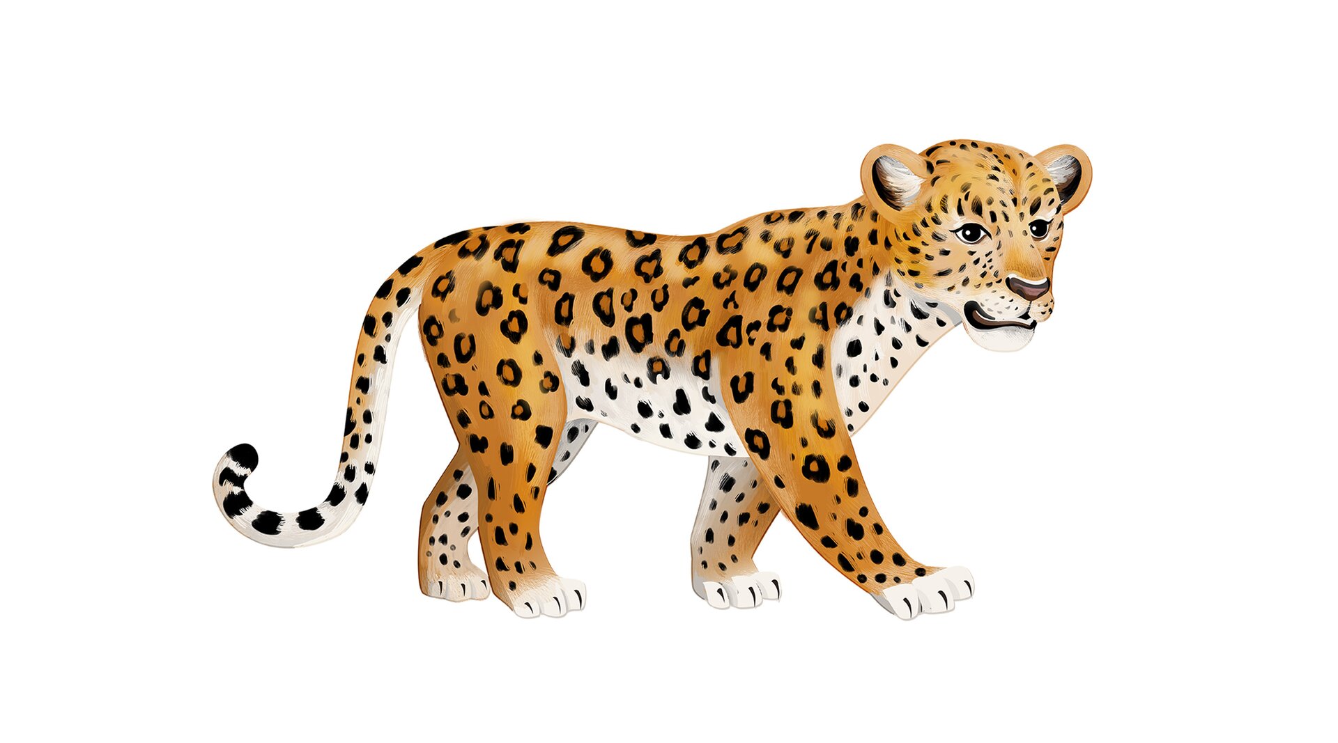 Ilustracja przedstawia lamparta.