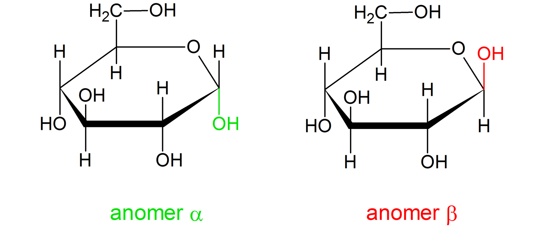Ilustracja przedstawiająca anomery glukozy - alfa oraz beta, w projekcji Hawortha. We wzorze glukozy alfa i beta zaznaczono grupy hydroksylowe wraz z anomerycznymi atomami węgla. W glukozie w formie alfa grupa OH odchodzi do dołu od pierwszego atomu węgla, w formie beta do góry. Struktura alfa‑D-glukopiranozy zbudowana jest z sześcioczłonowego pierścienia składającego się z pięciu atomów węgla oraz z jednego atomu tlenu. Numeracja atomów węgla jest zgodna z ruchem wskazówek zegara. Przy atomach węgla C 1, C 2 oraz C 4 znajdują się grupy hydroksylowe OH wychodzące za płaszczyznę, zaś atomy wodoru przed. Przy węglu C 3 grupa hydroksylowa wychodzi przed płaszczyznę, zaś atom wodoru za. Węgiel C 5 podstawiony jest grupą CH2OH wychodzącą przed płaszczyznę oraz atomem wodoru znajdującym się za płaszczyzną. W przypadku anomeru beta glukozy grupa hydroksylowa OH znajduje się przed płaszczyzną, pozostałe podstawniki zlokalizowane są analogicznie jak w przypadku opisanego już anomeru alfa.