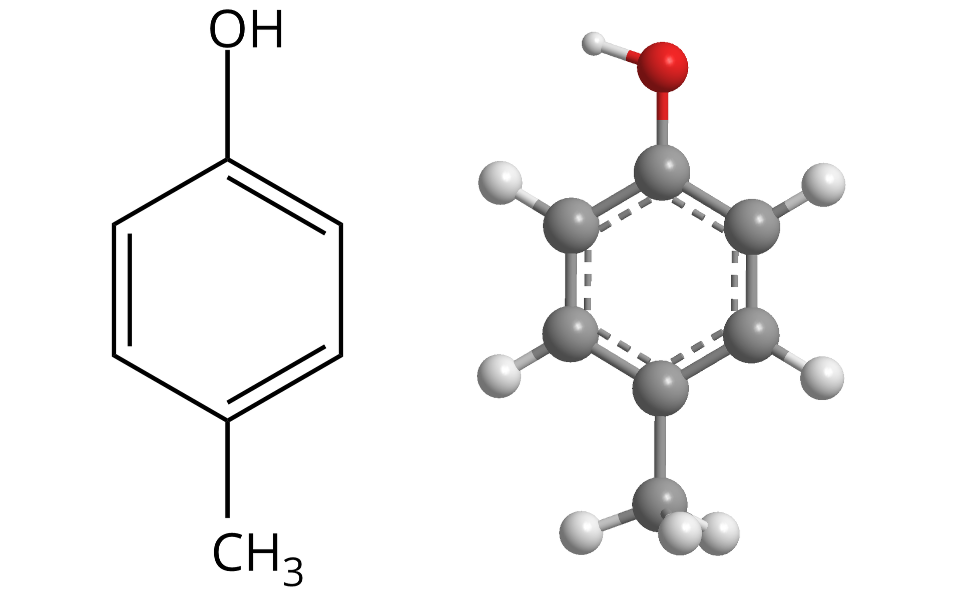 Ilustracja przedstawiająca wzór 4-metylofenolu zbudowanego z sześcioczłonowego pierścienia aromatycznego podstawionego w dwóch pozycjach, odpowiednio pierwszej grupą hydroksylową OH i w czwartej grupą metylową CH3. W pozostałych pozycjach do węgli tworzących pierścień przyłączone są atomy wodoru. Obok przedstawiono model kulkowo‑pręcikowy, w którym szare kulki odpowiadają atomom węgla, czerwone - atomowi tlenu, a małe, białe kulki atomom wodoru. Sześć atomów węgla łączy się w pierścień, do czterech z nich przyłączonych jest po jednym atomie wodoru, a do dwóch pozostałych atomów węgla odpowiednio w pozycji pierwszej atom tlenu związany z atomem wodoru oraz w czwartej atom węgla podstawiony trzema atomami wodoru. Wzdłuż wewnętrznej części obwodu pierścienia poprowadzona jest przerywana linia reprezentująca aromatyczny charakter pierścienia.