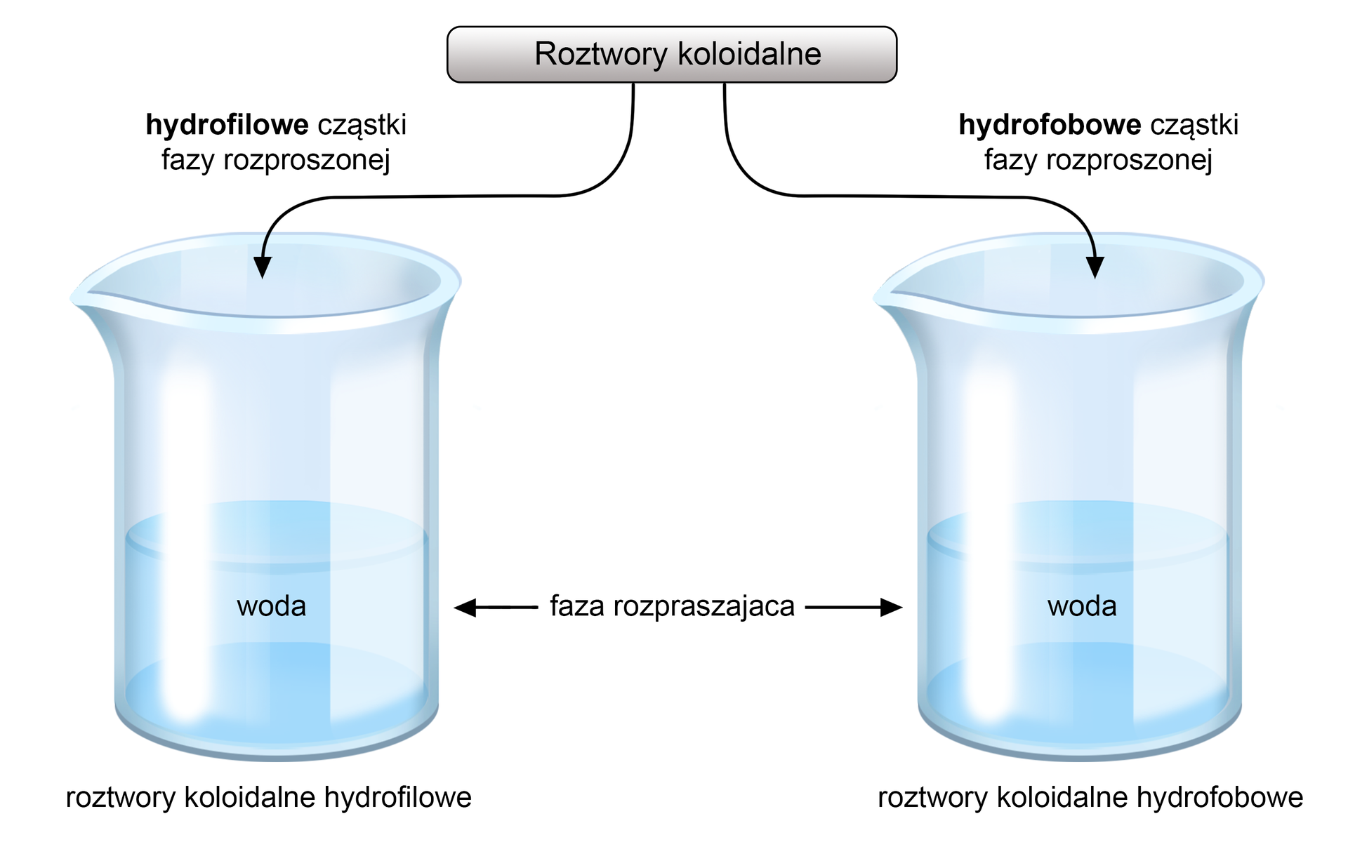Na ilustracji w dwóch zlewkach są roztwory koloidalne. W zlewce po lewej stronie są hydrofilowe cząstki fazy rozproszonej. Po zlewką jest napis: roztwory koloidalne hydrofilowe. W zlewce po prawej stronie są hydrofobowe cząstki fazy rozproszonej. Po zlewką jest napis: roztwory koloidalne hydrofobowe. W zlewkach jest woda. Opisano ją jako fazę rozpraszającą. ę 