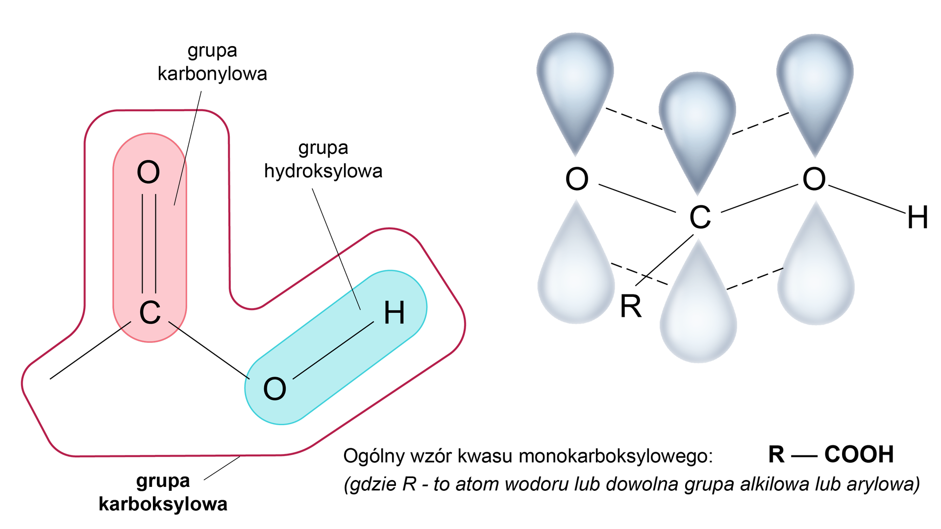 Na ilustracji znajduje się ogólny wzór kwasu monokarboksylowego: R wiązanie pojedyncze COOH, gdzie R to atom wodoru lub dowolna grupa alkilowa lub arylowa. W grupie karboksylowej można wyróżnić atom węgla, do którego przyłączony jest atom tlenu poprzez wiązanie podwójne, ten motyw nazywa się grupą karbonylową, oraz grupa OH, czyli grupa hydroksylowa przyłączona do tego samego atomu węgla.