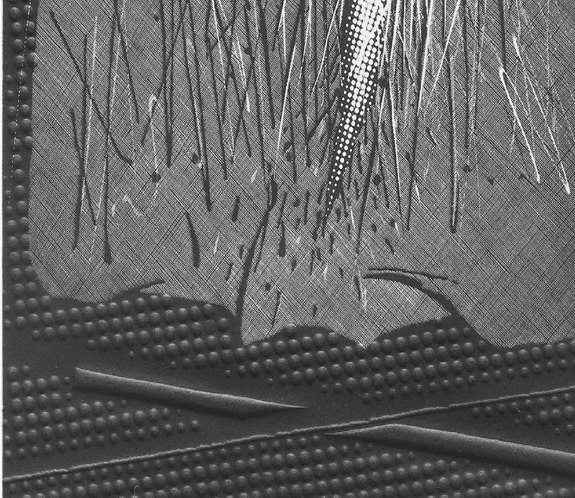 Ilustracja przedstawia czarno‑białą grafikę „Tors H.”, autorstwa Marka Basiula. Dzieło ukazuje abstrakcyjną kompozycję, wykonaną w technice linorytu tłoczonego. Dolną partię pracy i wąski pasek po lewej tworzy ciemno‑szara, nieregularna plama z wytłoczonymi punktami i przecinającymi się, skośnymi liniami. Nad nią znajduje się dynamiczna kompozycja, składająca się z białych i ciemno‑szarych, ekspresyjnie naniesionych linii. Na ich tle artysta umieścił ciemny, szpiczasty kształt z nadrukiem białych kropek.