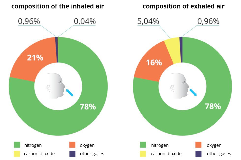 Ilustracja przedstawia skład wdychanego i wydychanego powietrza. Podpisano: Composition of the inhaled air Composition of exhaled air , Nitrogen, Carbon dioxide, Oxygen, Other gases. Po lewej stronie widnieje schemat kołowy składu powietrza wdychanego. Na zielono oznaczono 78% azotu, na brązowo 21% tlenu, na żółto 0,96 % dwutlenku węgla, kolorem granatowym 0,04% innych gazów. Po prawej stronie znajduje się schemat kołowy składu powietrza wydychanego: azot 78%, Tlen 16%, Dwutlenek węgla 5,04%, inne gazy 0,96%. 
