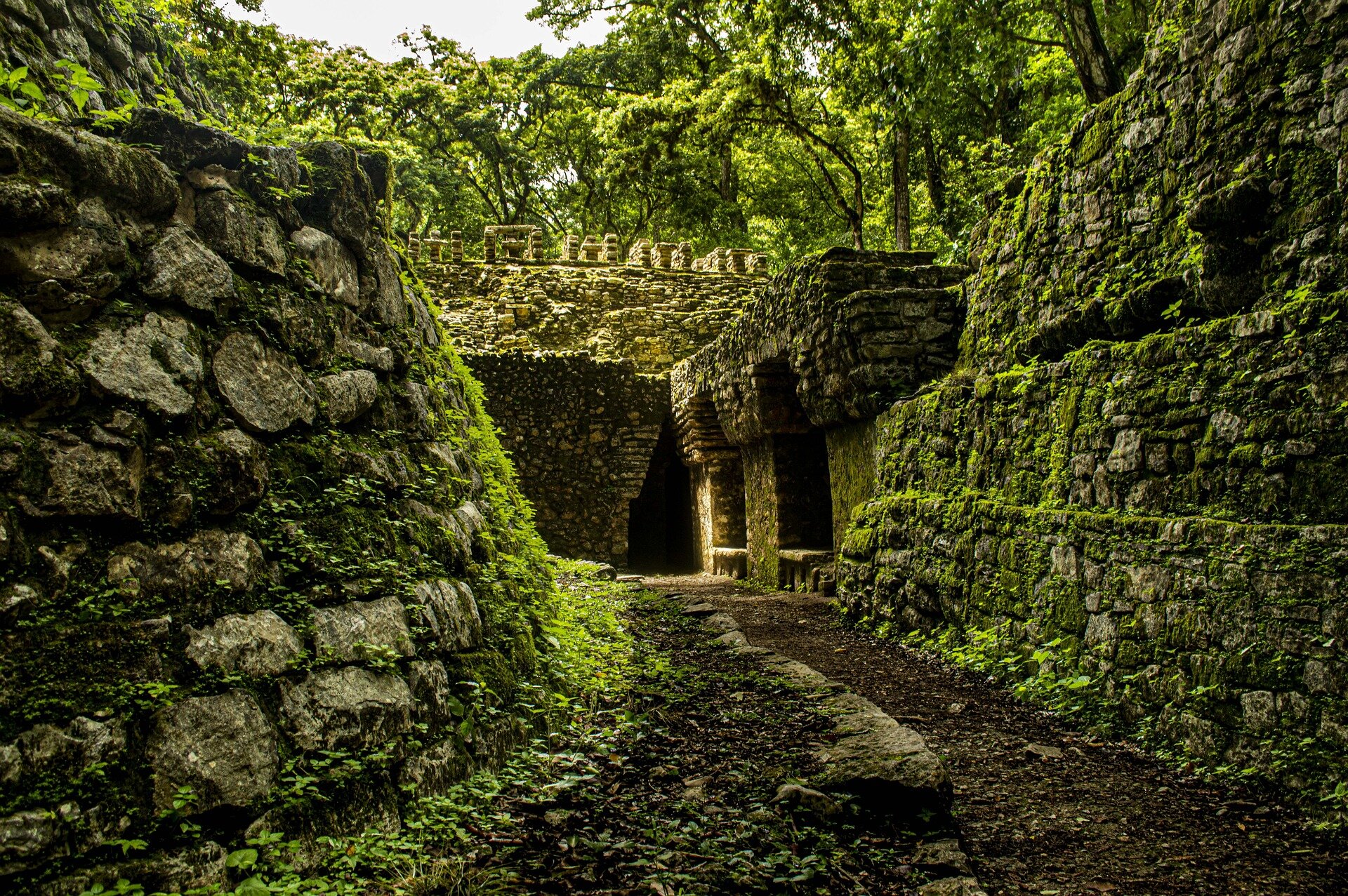 Zdjęcie przedstawia kamienne mury i budowle porośnięte mchem.