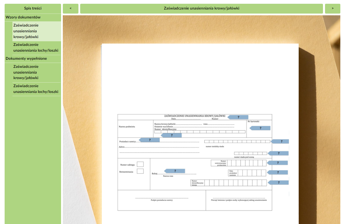 Grafika przedstawia przykładowy widok dokumentacji interaktywnej. Znajduje się na niej atlas z sześcioma zakładkami. Została wybrana zakładka druga: Zaświadczenie unasiennienia krowy/jałówki. Na ekranie widoczny jest dokument, który należy uzupełnić zgodnie ze wskazówkami zawartymi na planszy.