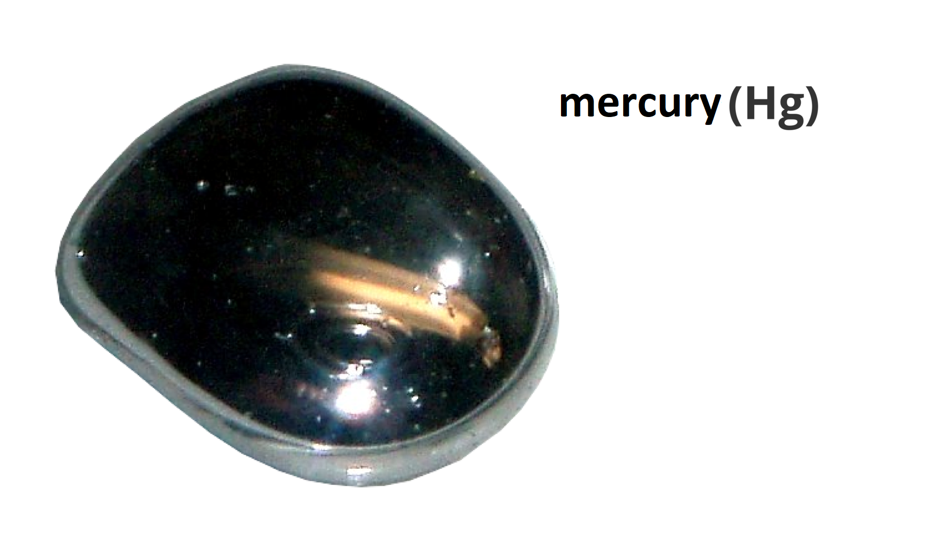 What kind of common features can you notice? The photograph shows a mercury.