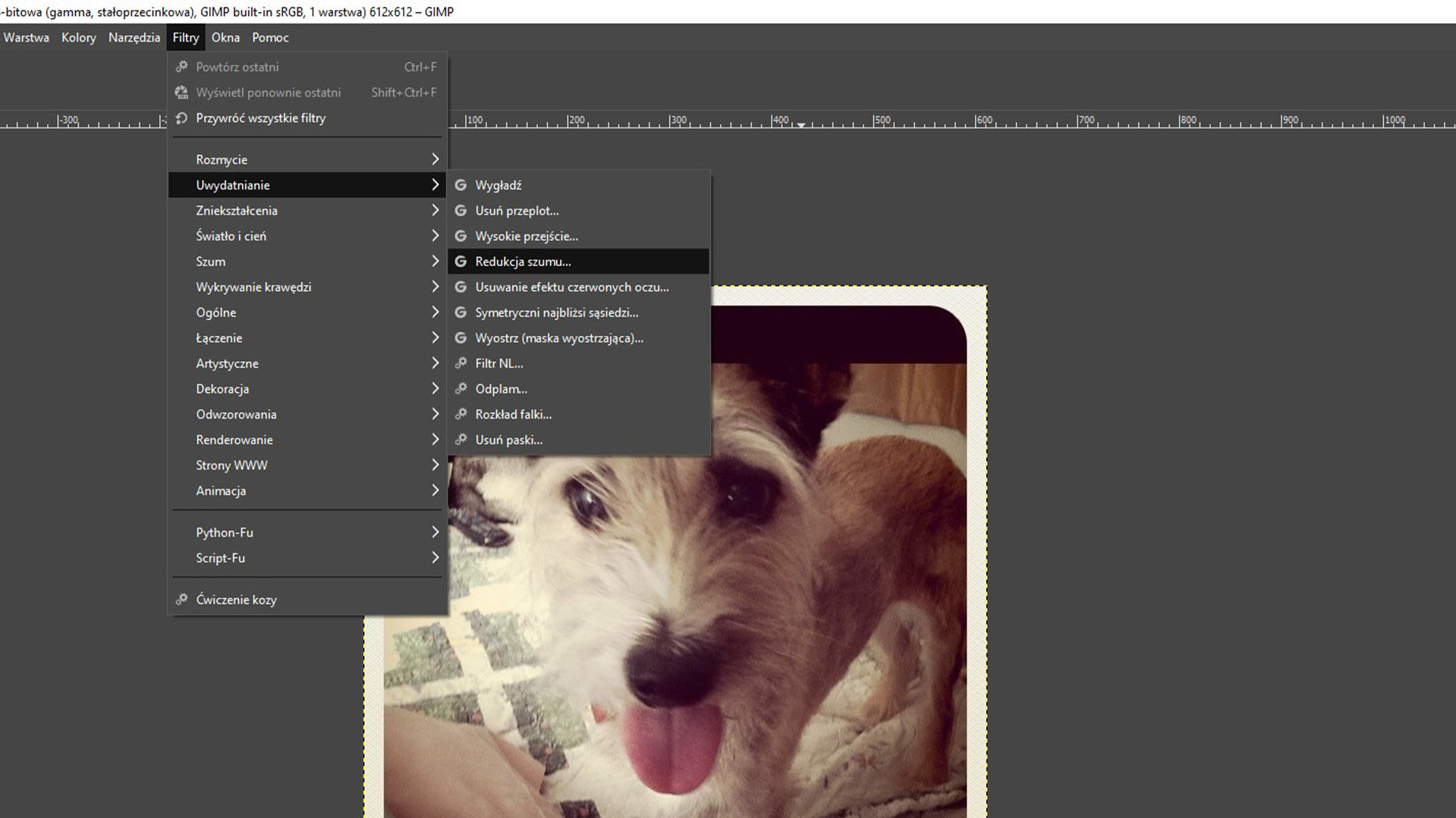 Ilustracja przedstawia okno programu. Z menu wybrano zakładkę Filtry. Następnie z listy wybrano: Uwydatnianie i kolejno opcję: Redukcja szumu. W obszarze roboczym jest zdjęcie psa. 