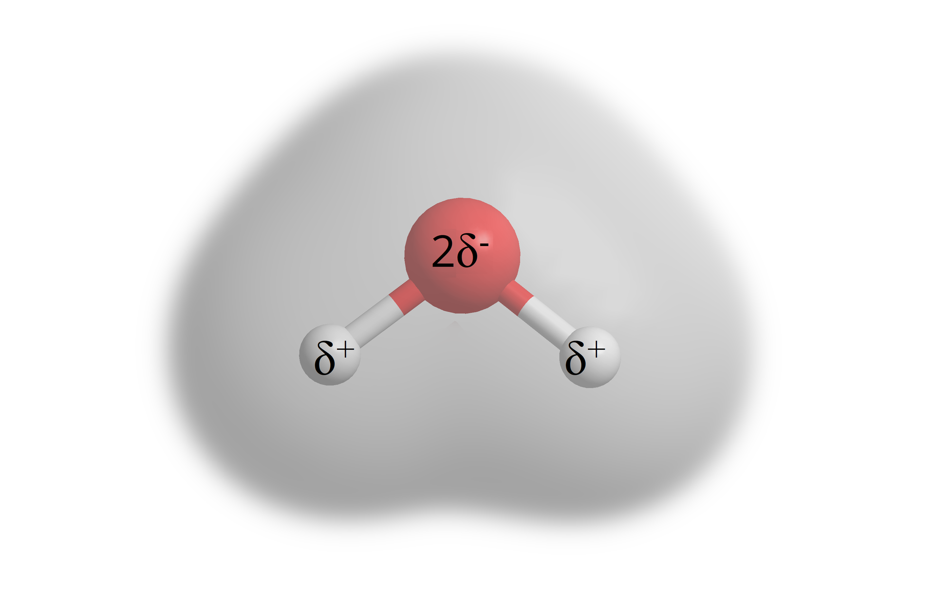 Ilustracja przedstawia model kulkowo‑pręcikowy cząsteczki wody. Kreskami przedstawiono wiązania łączące wodór i tlen. Kąt między wiązaniami wodór tlen wynosi ponad 109 stopni. Atom tlenu ma rozmiar większy, i reprezentuje go czerwona kulka. Dwie kulki oznaczające atomy wodoru są mniejsze i białe. Między kulkami tlenu i wodoru występują grube kreski oznaczające wiązania. Na atomie tlenu znajduje się znak dwa delta minus. Na atomach wodoru znajdują się znaki delta plus.