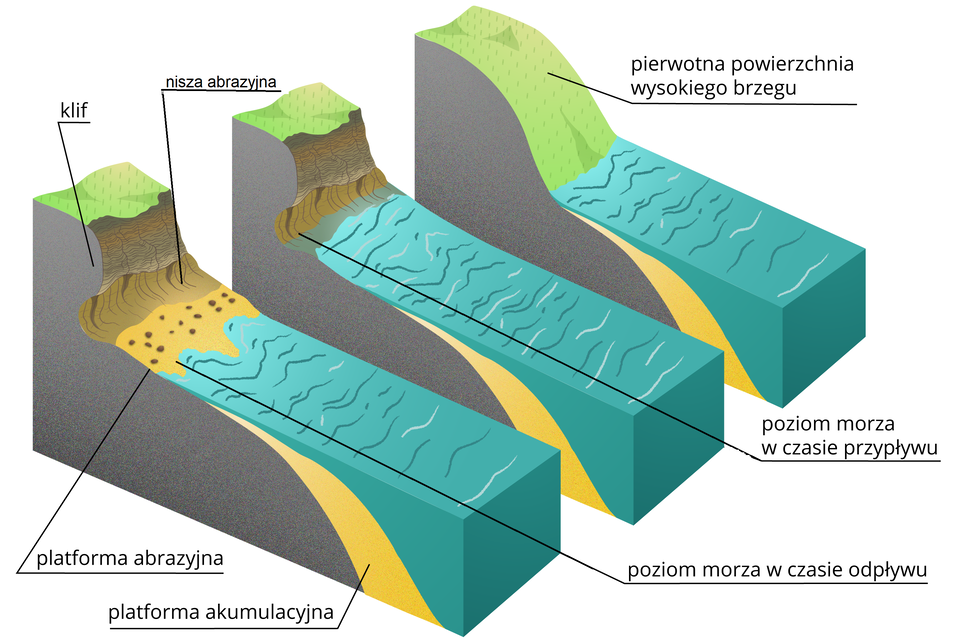 Ilustracja przedstawia trzy etapy formowania klifu przez falowanie morza. Na pierwszej ilustracji woda styka się z wysokim, zielonym brzegiem. Następnie wysoki brzeg zaczyna być podmywany podczas przypływu, zielona jest tylko jego górna powierzchnia. Brzeg jest brązowy. W kolejnym etapie zaznaczono poziom morza w czasie odpływu. Brzeg - klif ulega dalszemu podmywaniu, powstaje w nim wcięcie. Płaskie miejsce pomiędzy klifem a morzem to platforma abrazyjna. Ma kolor żółty z brązowymi kropkami. Pod poziomem morza w czasie dopływu zaznaczono kolorem żółtym platformę akumulacyjną.     