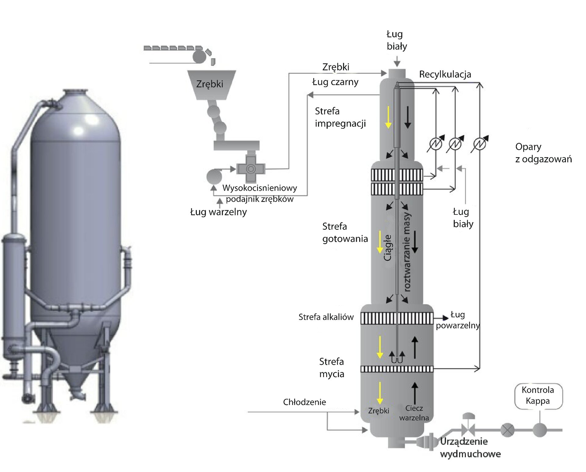 Grafika przedstawia warnik. Po lewej stronie widać urządzenie od zewnątrz, a po prawej od wewnątrz. Widok od wewnątrz posiada podpisane elementy. Warnik to wysoki zbiornik z licznymi rurami. Od góry trafiają do niego zrębki i biały ług. Trafiają do strefy impregnacji. Następnie przechodzą niżej do strefy gotowania. Odbywa się tam ciągłe roztwarzanie masy. Niżej znajduje się strefa alkaliów. Powstaje tam ług powarzelny. Niżej znajduje się strefa mycia. Zrębki opadają na dół, a ciecz warzelna unosi się do góry.