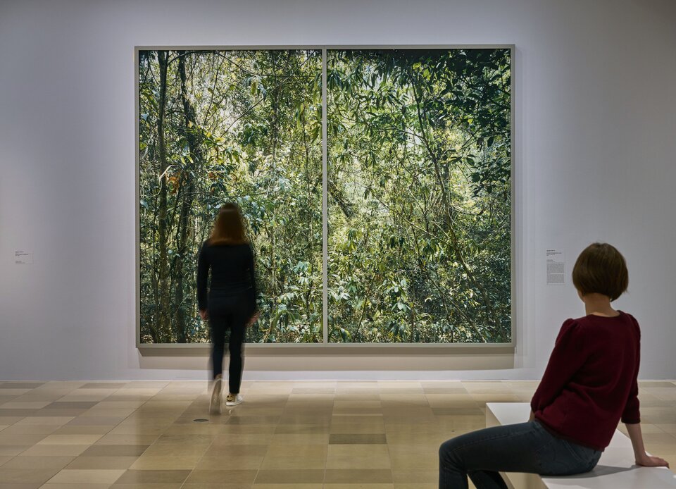 Ilustracja przedstawia fotografię Thomasa Strutha pt. „Paradiese 09 Xi Shuang Banna”. Ukazuje ona wnętrze galerii oraz dwie kobiety, które przypatrują się wielkoformatowej fotografii przedstawiającej gęsty, zielony las tropikalny. Jedna z kobiet znajduje się przed obrazem, dokładnie idzie w jego kierunku. Druga kobieta przygląda się z oddali, siedząc na ławce.