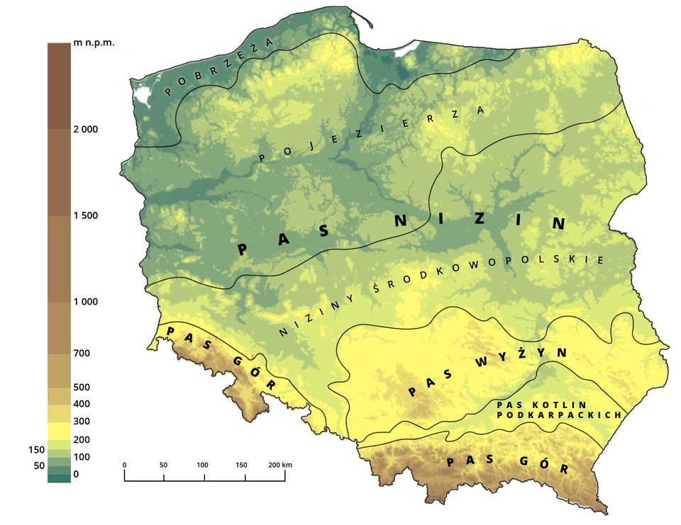 Mapa przedstawia pasowość rzeźby Polski. Niziny występują na północy i w centrum, natomiast obszary górskie i wyżynne na południu. Zaczynając od południa wyróżnia się następujące pasy: gór, kotlin podkarpackich, wyżyn, nizin środkowopolskich, pojezierzy i pobrzeży.