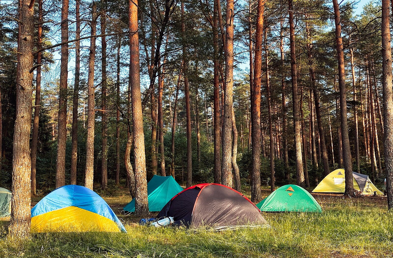 Zdjęcie przedstawia fragment lasu sosnowego oraz niewielkiej polany porośniętej trawą, na której  widoczne jest pięć rozstawionych namiotów turystycznych. Namioty mają różne kolory i kształty. Oświetlają je promienie słońca.