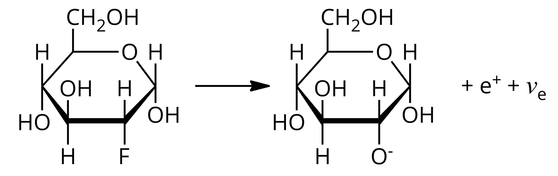 Ilustracja przedstawia wzór cukru w formie cyklicznej. W strukturze występuje pierścień sześcioczłonowy, w którym występuje jeden atom tlenu, a pozostałe to atomy węgla. Każdy atom węgla ma podstawniki, przyłączone są atomy wodoru, grupy hydroksylowe, jedna grupa    C H   2    O H  . Jeden z atomów węgla jest podstawiony wyjątkowo izotopem fluoru 18F. Obok znajduje się strzałka w prawo, powstaje cukier analogiczny do substratu, przy czym izotop fluoru został zastąpiony izotopem 18O, a podstawnik przy tym atomie węgla to:     18     O   −   . Pozostałe produkty to: e+ i   v   e    .