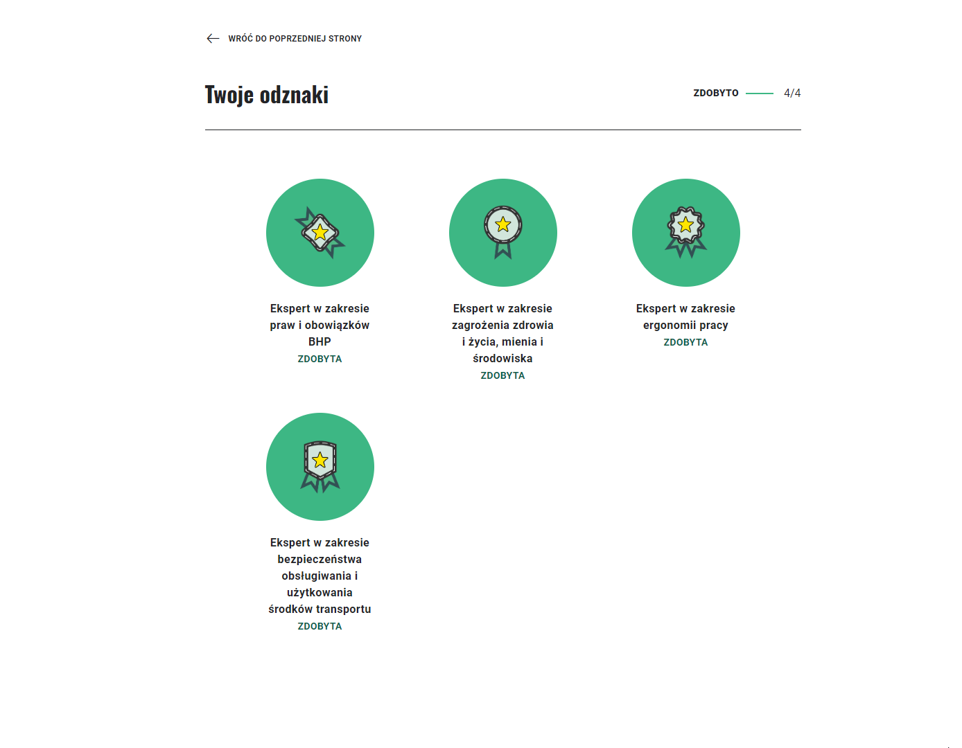 Przykładowe odznaki w grze