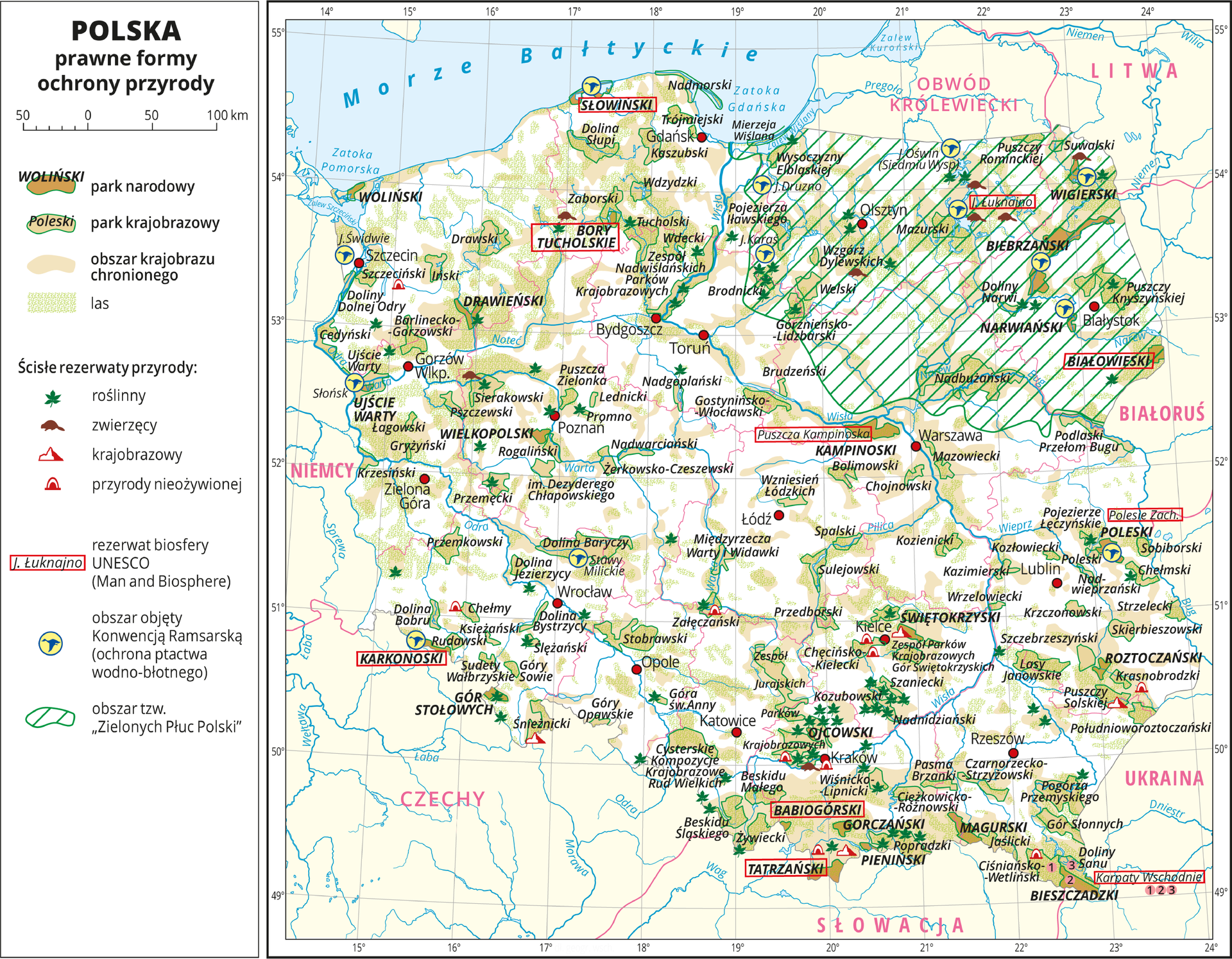 Ilustracja przedstawia mapę Polski. Oznaczono i opisano miasta wojewódzkie. Granice województw oznaczono czerwonymi liniami. Opisano państwa sąsiadujące. Na mapie za pomocą barwnych plam pokazano prawne formy ochrony przyrody w Polsce: parki narodowe, parki krajobrazowe, obszary chronionego krajobrazu i lasy. Występują one na całej powierzchni mapy jednak największe zagęszczenie widać w rejonie pojezierzy, wyżyn, kotlin oraz w górach. Opisano nazwy parków narodowych i rezerwatów. Nazwy miejsc, które są rezerwatami biosfery UNESCO otoczono czerwoną ramką – takich miejsc jest dziesięć i występują na terenie całej Polski. Za pomocą sygnatur przedstawiono rezerwaty przyrody: roślinne, zwierzęce, krajobrazowe, przyrody nieożywionej. Ich największe zagęszczenie jest na terenach parków narodowych i krajobrazowych – najwięcej na obszarze Wyżyny Krakowsko‑Częstochowskiej. Za pomocą sygnatury niebieskiego ptaka w żółtym kółku przedstawiono obszary objęte Konwencją Ramsarską – obszary ochrony ptactwa wodno‑błotnego – takich obszarów jest kilkanaście i występują głównie na Pojezierzu Mazurskim, w Dolinie Baryczy i u ujść rzek. Obszar „Zielonych Płuc Polski” zakreskowano kolorem zielonym, znajduje się on na północnym‑wschodzie i sięga do Bugu. Mapa zawiera południki i równoleżniki, dookoła mapy w białej ramce opisano współrzędne geograficzne co jeden stopień. W legendzie z lewej strony mapy objaśniono znaki użyte na mapie.