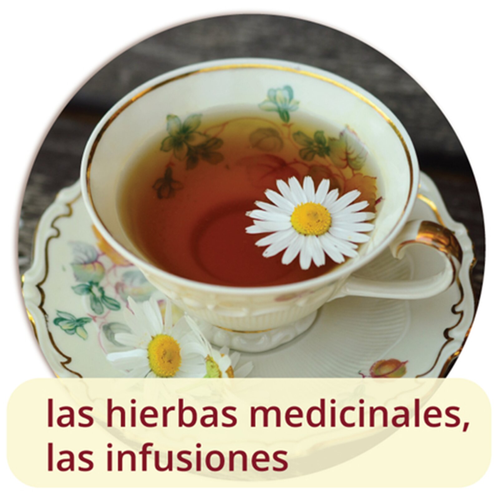 Na grafice widoczna jest filiżanka z herbatą. Pod zdjęciem znajduje się napis las hierbas medicinales, las infusiones.