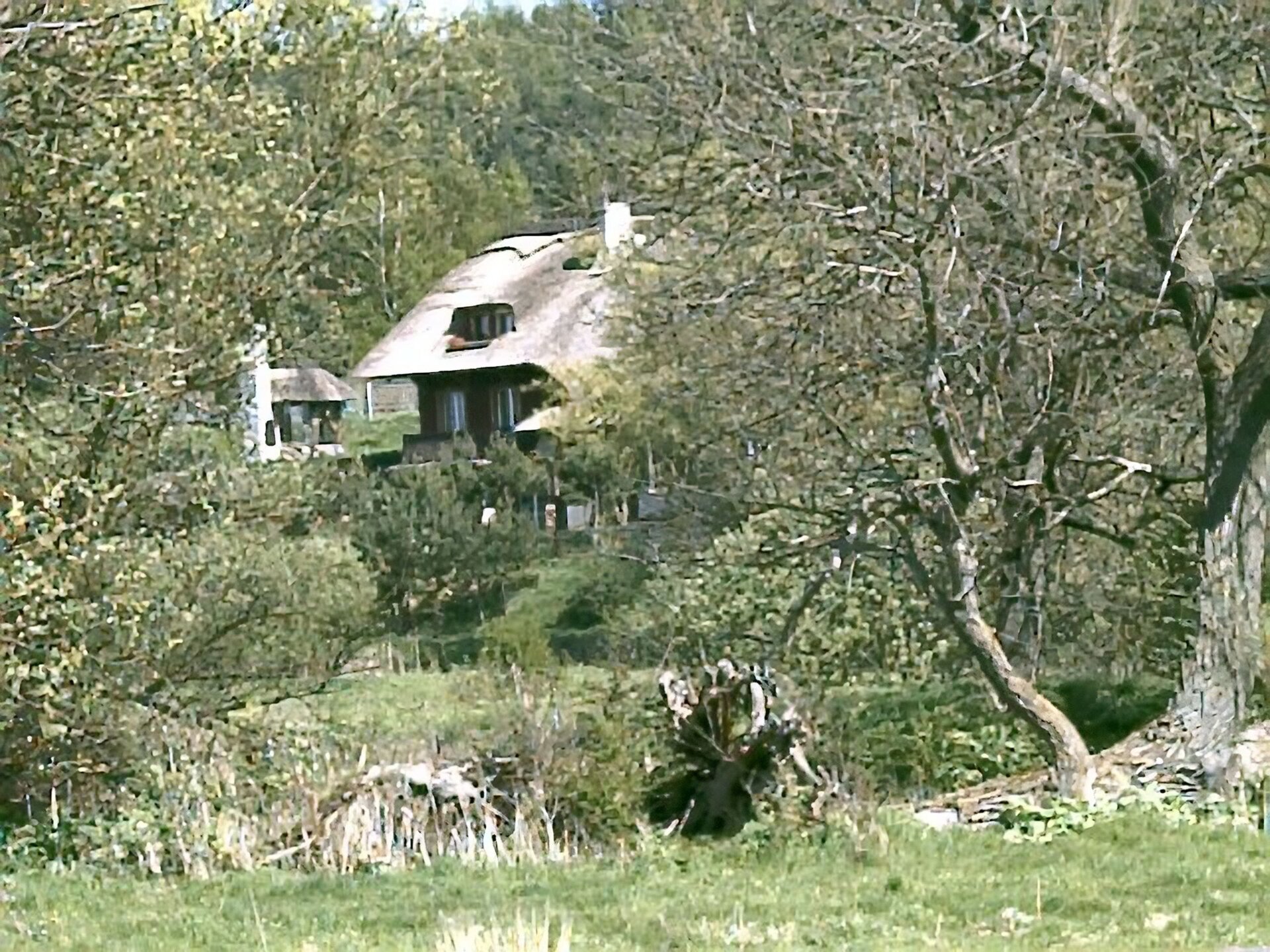 Kliknij, aby powiększyć. Zdjęcie przedstawia drzewa i skrywające się za ich suchymi gałęziami dwa budynki mieszkalne ze spadzistymi dachami pokrytymi trzeciną.