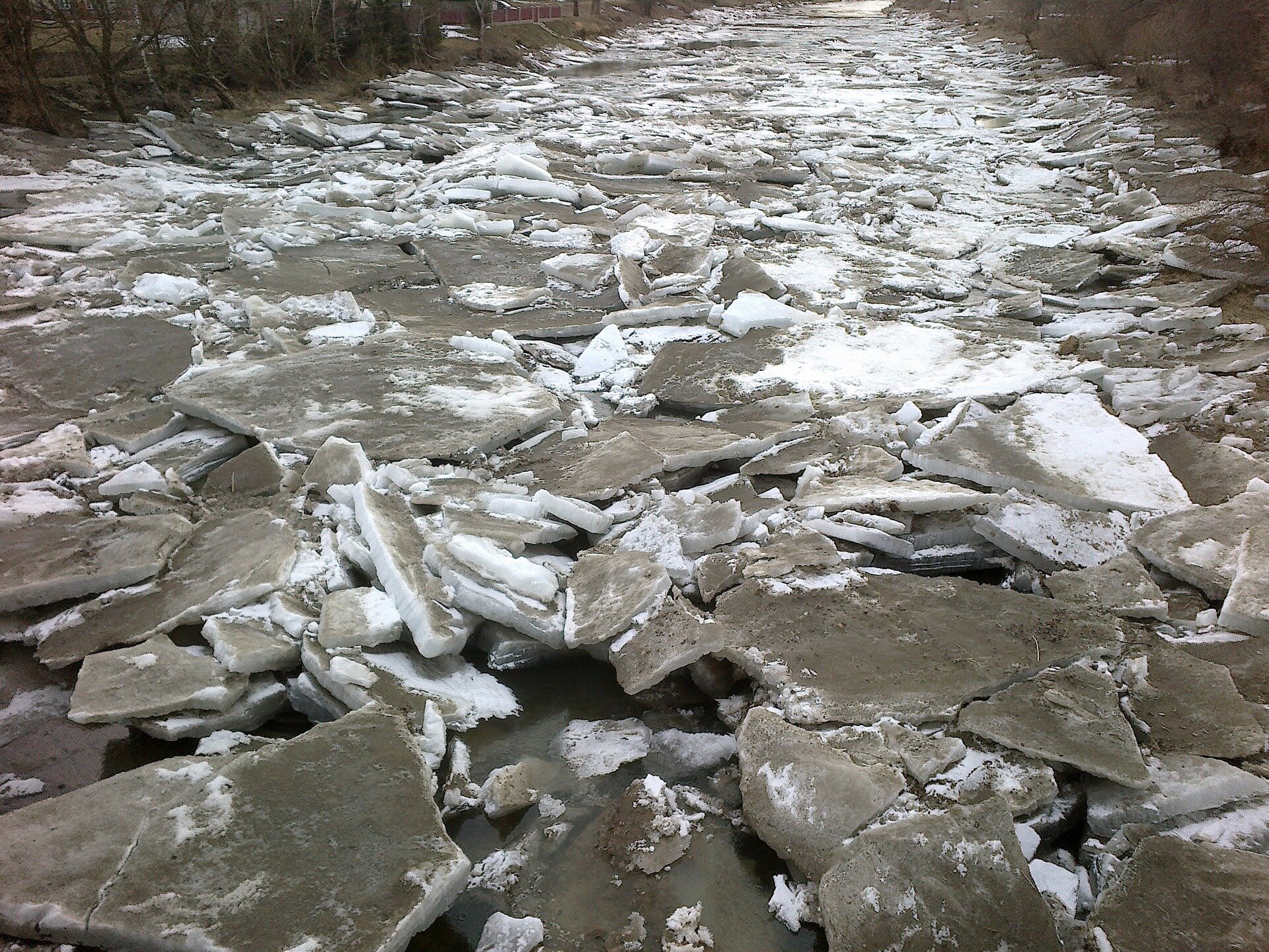 Na zdjęciu kawałki połamanego, brudnego lodu zapełniającego całe koryto rzeki.