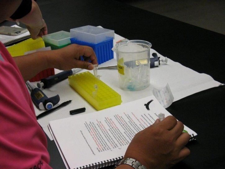 Zdjęcie przedstawia osobę robiącą badanie próbek. Na stole leżą trzy elektroniczne pipety do badań, pojemniki na próbki oraz skoroszyt.