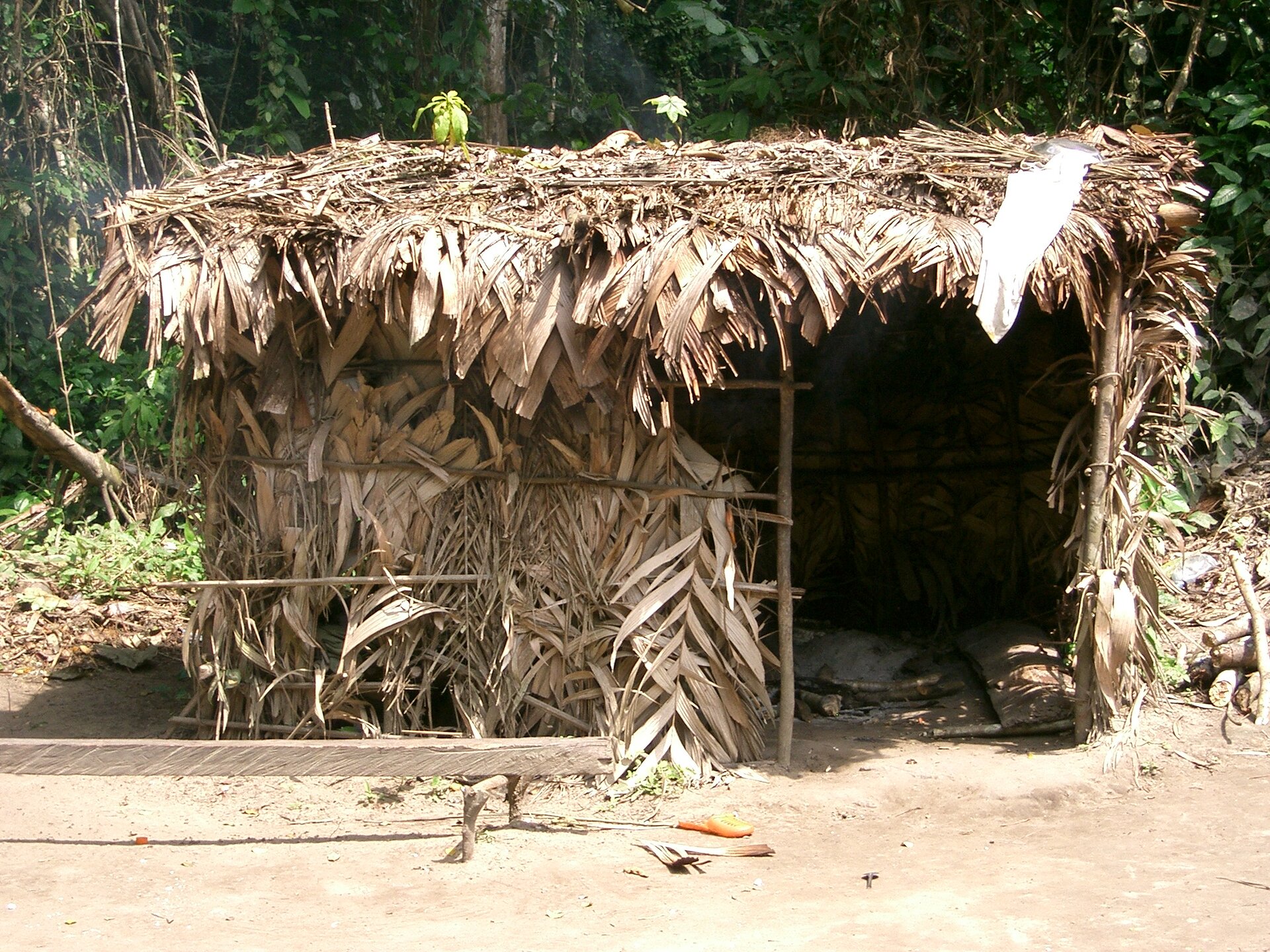 Na zdjęciu chata afrykańskiego ludu Baka, drewniany szałas pokryty suchymi liśćmi. 