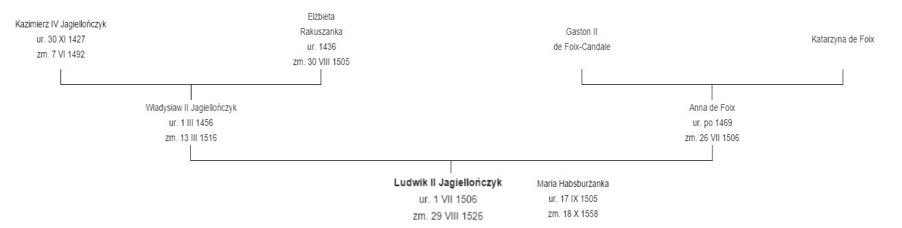 Kliknij, aby powiększyć Drzewo genealogiczne. Kazimierz IV Jagielończyk ( ur. 30 XI 1427, zm. 7 VI 1492) z Elżbietą Rakuszanką (ur. 1436, zm. 30 VIII 1505) mieli syna Władysława II Jagielończyka (ur. 1 III 1456, zm. 13 III 1516). Z Anną de Foix (ur. po 1469, zm. 26 VII 1506) mieli syna Ludwika II Jagielończyka (ur. 1 VII 1506, zm. 29 VIII 1526). On ożenił się z Marią Habsurżanką (ur. 17 I 1505, zm. 18 X 1558). Jego dziadkami od strony matki byli Gaston II de Foix‑Candale oraz Katarzyna de Foix.