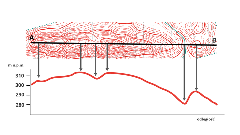 Rycina przedstawia zależność między układem poziomic na mapie a kształtem profilu terenu poprowadzonego wzdłuż linii A–B. W górnej części pokazano poziomice, a w dolnej odpowiadający im profil wysokościowy. Szare strzałki wskazują, które miejsca na mapie odpowiadają konkretnym punktom profilu.

Profil zaczyna się przy punkcie A na wysokości około 300 m n.p.m., następnie łagodnie się wznosi, potem kilkakrotnie nieznacznie opada i znowu się podnosi. W prawej części ryciny pojawia się wyraźne, głębsze obniżenie terenu, po którym profil krótko się wznosi i ponownie opada w kierunku punktu B.

Rycina pokazuje, że im bliżej siebie leżą poziomice, tym stok jest bardziej stromy, a linia profilu zmienia wysokość szybciej. Gdy poziomice są rozstawione szerzej, stok jest łagodniejszy, więc profil ma spokojniejszy przebieg. Zamknięte układy poziomic tworzą na profilu lokalne wzniesienia lub obniżenia. Dzięki temu z układu poziomic można odczytać, czy teren jest płaski, falisty czy stromy.