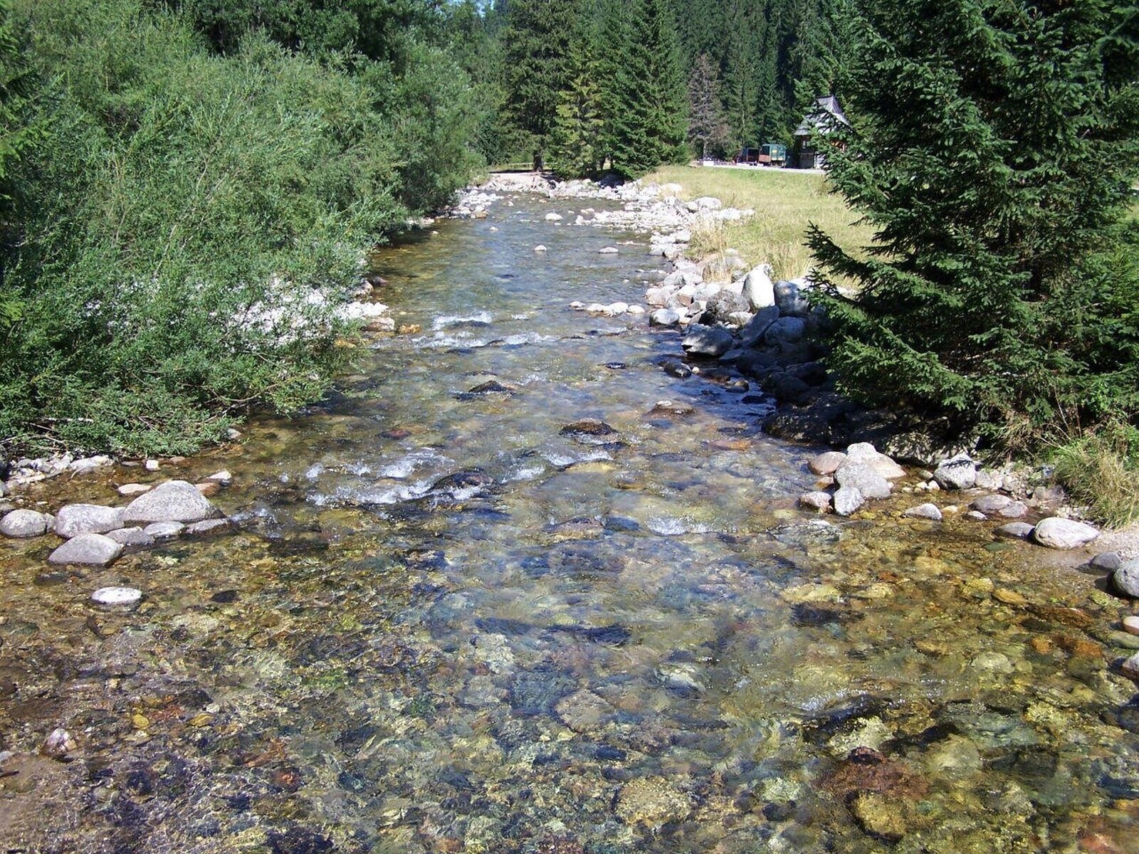 Szerokie koryto górskiego potoku. Jego nurt nie jest zbyt intensywny, potok ma szerokość kilku metrów, na jego dnie kamienie, bardzo czysta woda. Wzdłuż brzegów leżące kamienie oraz rosnące drzewa iglaste.