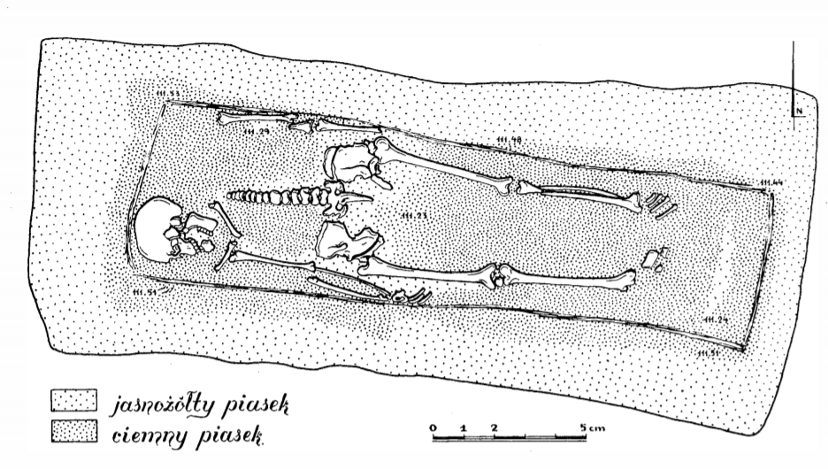 Ilustracja przedstawia szkielet w grobie. Zaznaczony jest jasnożółty i ciemny piasek grobu. Czaszka szkieletu jest zwrócona w stronę zachodnią.