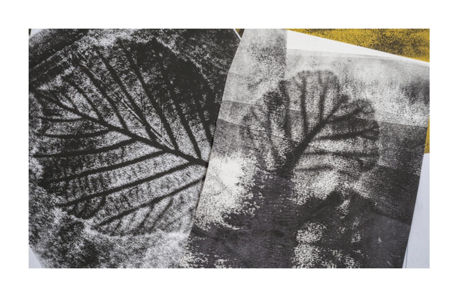 W zadaniu zostało wykorzystane zdjęcie, które przedstawia dwie kartki z odbitymi liśćmi.