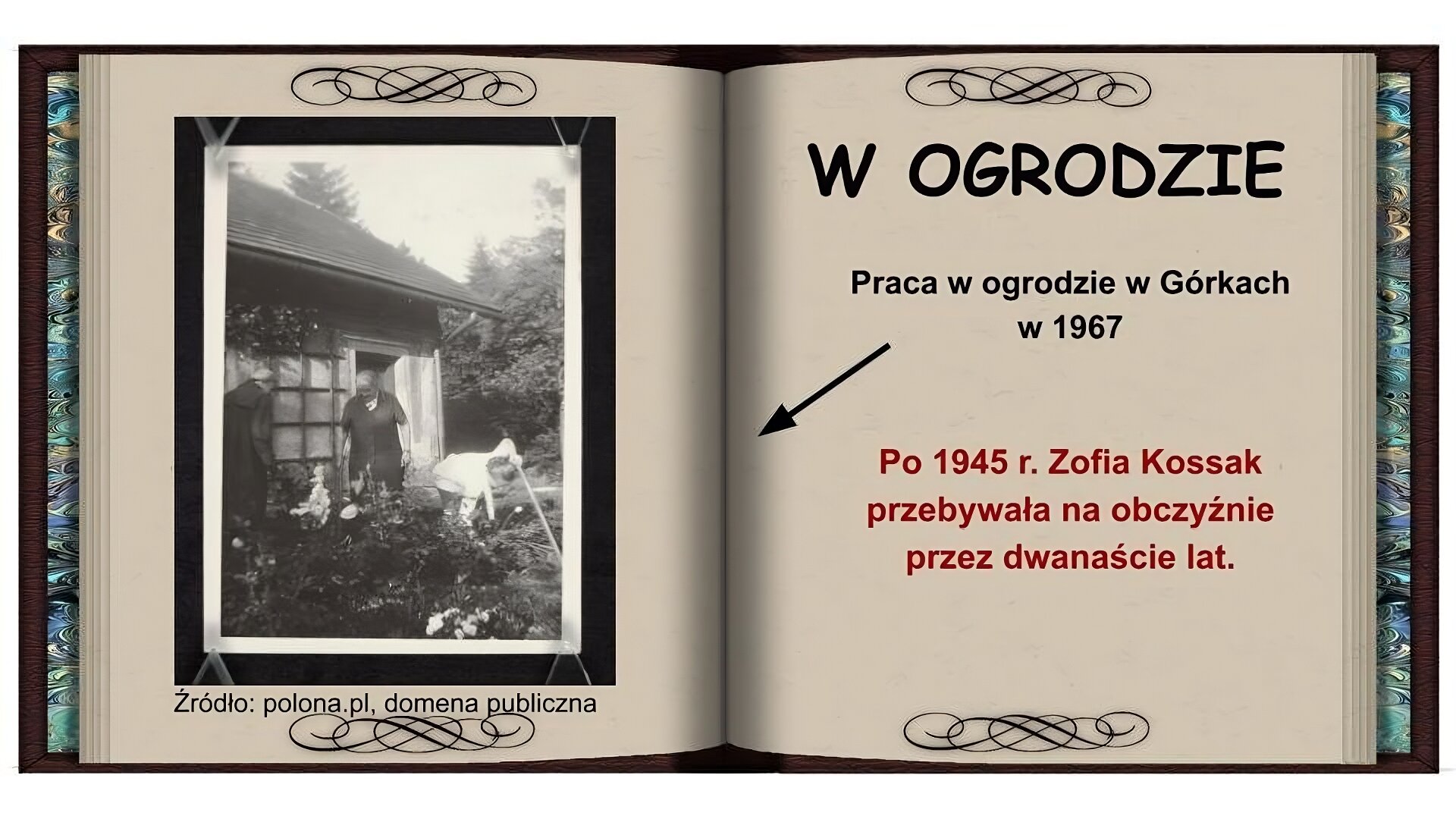 Tło w formie otwartej książki. Na lewej stronie czarnobiałe zdjęcie przedstawiające trzy kobiety pracujące w ogrodzie wśród białych kwiatów. Po lewej stronie, tyłem, stoi kobieta w czarnym stroju. Po środku stoi kobieta o siwych włosach, w ciemnym fartuchu. Po prawej stronie widać schylająca się kobietę w białym stroju. Z tyłu widać dom i drzewa. Na prawej stronie na górze czarny napis: W ogrodzie. Niżej czarny napis: Praca w ogrodzie w Górkach w 1967 i strzałka wskazująca zdjęcie. Niżej czerwony napis: Po 1945 roku Zofia Kossak przebywała na obczyźnie przez dwanaście lat.