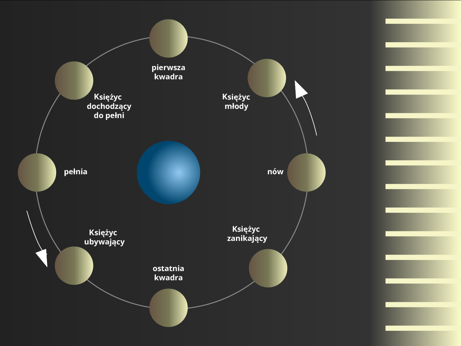 W środku ilustracji Ziemia. Dookoła niej przedstawiono osiem pozycji Księżyca na orbicie. Na godzinie dwunastej przedstawiona jest : pierwsza kwadra; na godzinie dziesiątej trzydzieści Księżyc dochodzący do pełni; na godzinie dziewiątej pełnia; na godzinie siódmej  trzydzieści Księżyc ubywający; na godzinie szóstej ostatnia kwadra; na godzinie czwartej trzydzieści Księżyc zanikający; na godzinie trzeciej nów; na godzinie pierwszej trzydzieści przedstawiono Księżyc młody. Przy fazie nów oraz pełni znajdują się dwie strzałki określające kierunek ruchu Księżyca po orbicie, który jest przeciwny ruchowi wskazówek zegarka. Po prawej stronie, od góry do dołu znajdują się błyszczące żółte linie imitujące promienie słoneczne. Tło ilustracji jest czarne.