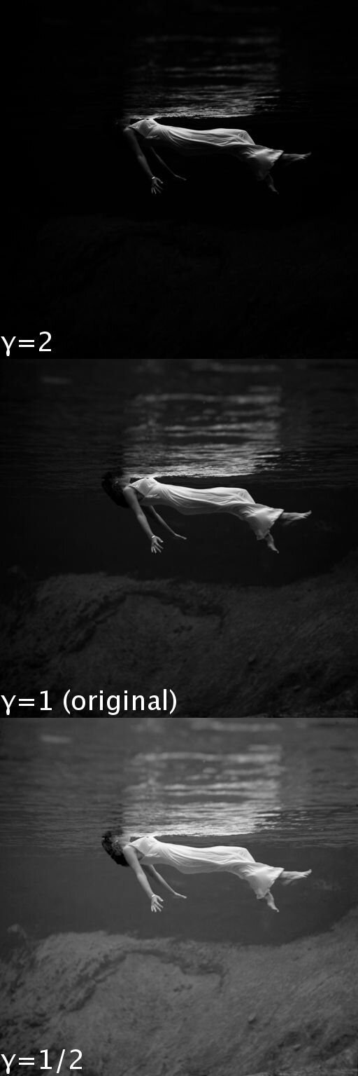 Ilustracja przedstawia trzy zdjęcia ukazujące przykład korekcji gamma w postprodukcji. Na każdym ze zdjęć znajduje się ta sama scena. Widoczna jest leżąca na plecach w wodzie kobieta w długiej sukience. Przy pierwszym zdjęciu o korekcji ipsylon równe dwa cały obraz jest niemal czarny, odznacza się jedynie nieznacznie postać kobiety, a przede wszystkim sukienka o kolorze szarym. Przy drugim zdjęciu o korekcji ipsylon równe jeden (original) cały obraz jest w odcieniach ciemnej szarości, odznacza się jedynie wyraźnie postać kobiety, a przede wszystkim jej jasna sukienka. Przy trzecim zdjęciu o korekcji ipsylon równe jedna druga cały obraz jest w odcieniach jasnej szarości. Postać kobiety jest wyraźna, a jej sukienka jest biała.