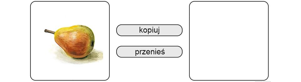 Interaktywne zadanie: Kopiowanie i przenoszenie