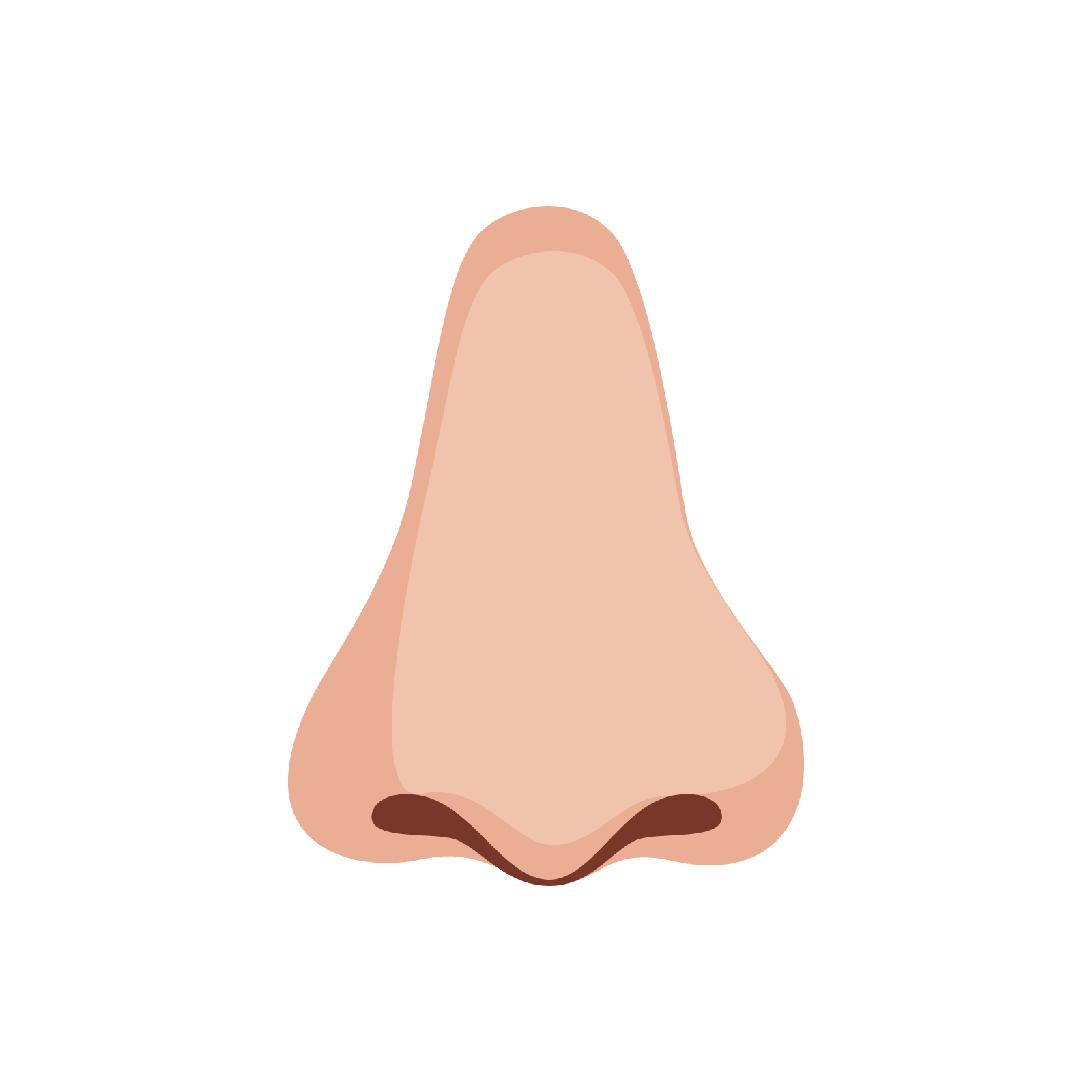 Ilustracja przedstawia rysunkowy nos.