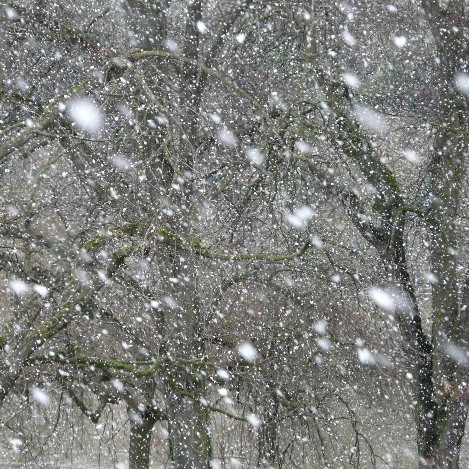Zdjęcie przedstawia płatki śniegu uniemożliwiające rozpoznanie obrazu. 