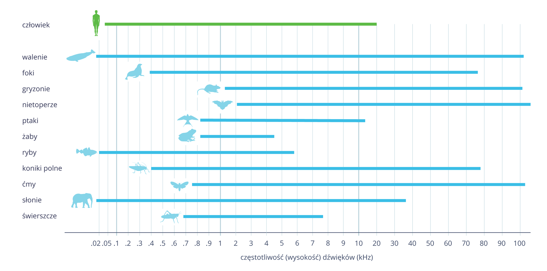 Ilustracja przedstawia w formie poziomych linii zakres słyszenia dźwięków przez człowieka (zielona) i niektórych zwierząt (niebieskie). U dołu skala wysokości dźwięków w hercach, od dwóch dziesiątych do stu. Przy liniach błękitne sylwetki zwierząt. Największy zakres słyszalności mają walenie, najmniejszy żaby. Wiele zwierząt słyszy dźwięki o wysokiej częstotliwości (ultradźwięki), na przykład gryzonie, nietoperze i ćmy.