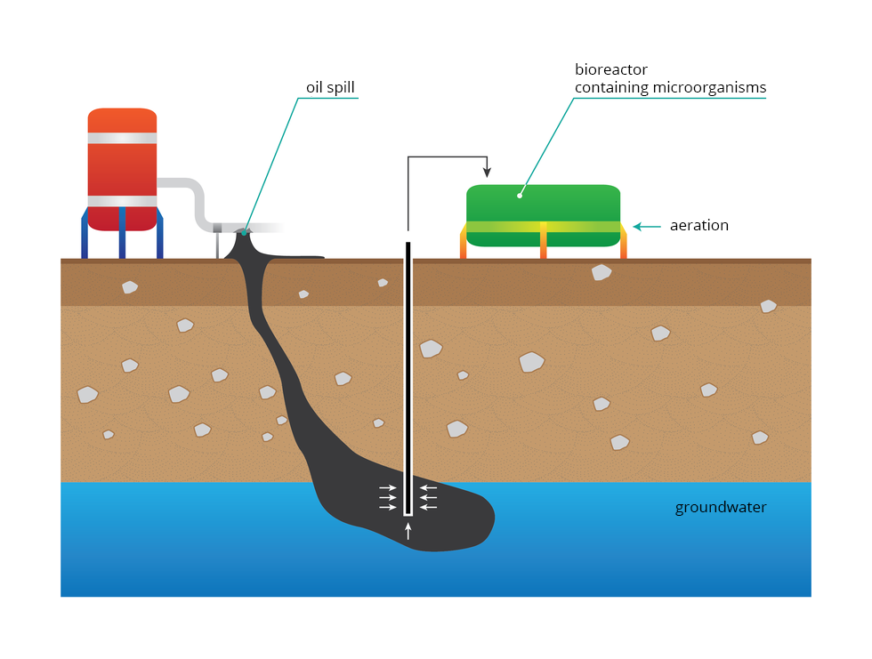 Ilustracja przestawia prostokąt, podzielony poziomo na trzy pasy, od dołu: niebieski – woda gruntowa, groundwater, jasno brązowy - gleba, brązowy – powierzchnia. Z lewej stoi zbiornik w kształcie beczki. Od niego w dół spływa duża, czarna plama, oznaczająca wyciek ropy naftowej, oil spill do ziemi i wód gruntowych. W centralnej części ilustracji pionowa, cienka rurka obrazuje wysysanie ropy z wody na powierzchnię do bioreaktora, bioreactor containing microorganisms. Strzałka wskazuje, że ropa trafia do zielonego kontenera, bioreaktora, gdzie jest napowietrzana, aeration. 