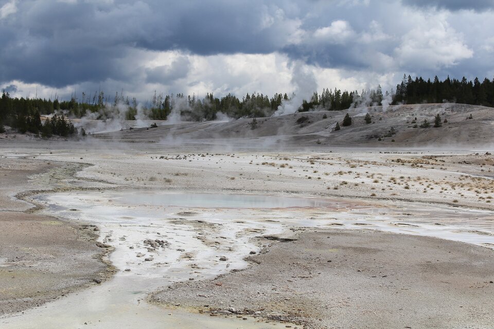 Zdjęcie przedstawia krajobraz wulkaniczny. Na pierwszym planie znajduje się jasne podłoże z niewielkimi skupiskami wody. Dalej znajduje się większe skupisko parującej wody. W tle jest wzniesienie porośnięte drzewami.