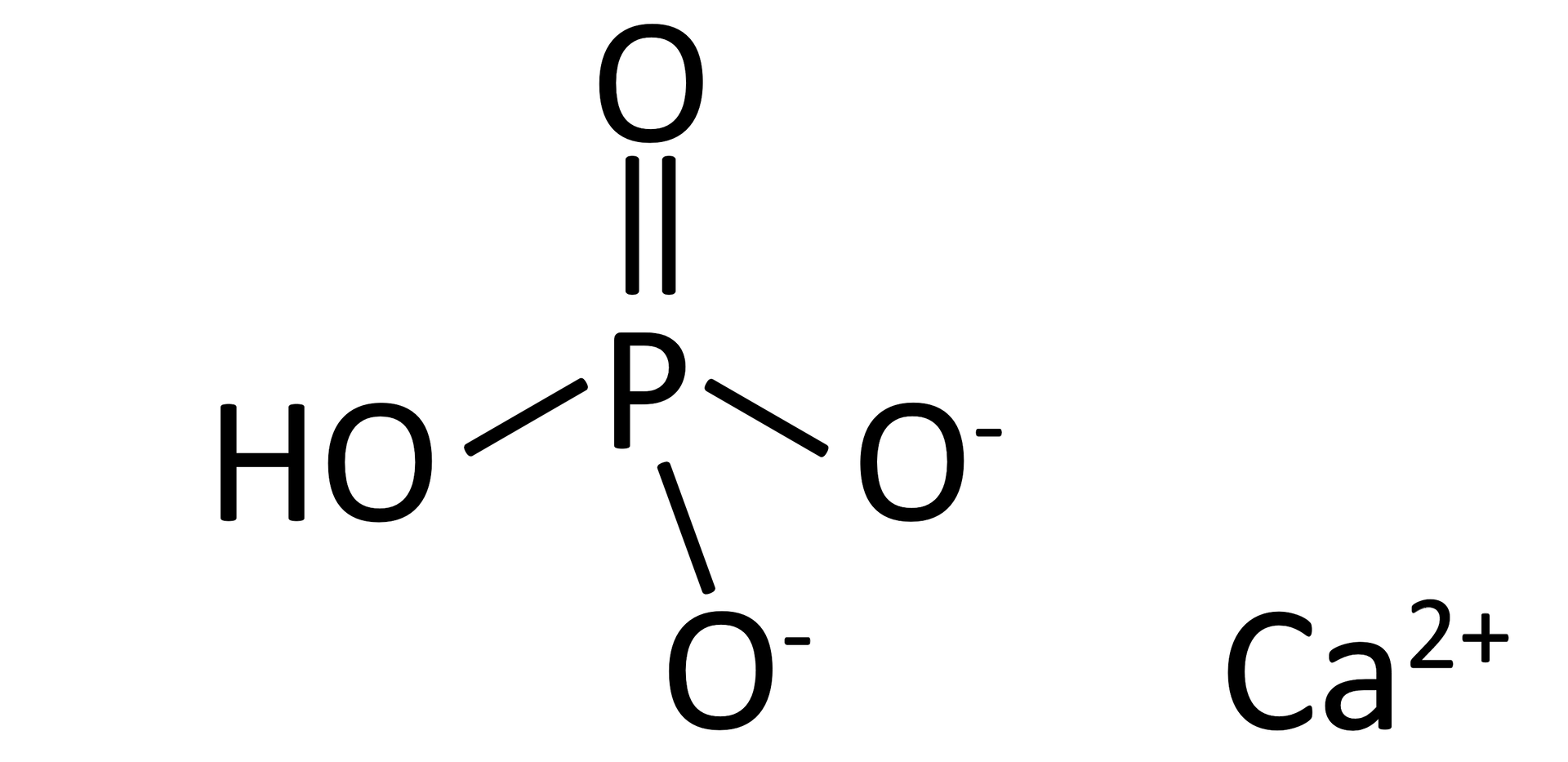 Na ilustracji jest wzór: P położone centralnie łączy się u góry wiązaniem podwójnym z atomem tlenu, na dole po lewej stronie łączy się z HO, na dole po prawej stronie dwa razy z anionem tlenu. Obok wzoru jest zapis: C a 2 + .