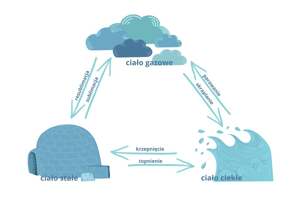 Grafika przedstawia schemat zmian stanów skupienia wody za pomocą strzałek. Ciało stałe, zobrazowane jako igloo, ulega przemianie fazowej w ciało gazowe (na ilustracji chmury). Jest to proces sublimacji. Ciało gazowe może ulec przemianie fazowej w ciało stałe. Jest to proces resublimacji. Ciało stałe ulega przemianie fazowej w ciało ciekłe (na ilustracji falująca woda). Jest to proces topnienia. Ciało ciekłe może ulec przemianie fazowej w ciało stałe. Jest to proces krzepnięcia. Ciało ciekłe ulega przemianie fazowej w ciało gazowe. Jest to proces parowania. Ciało gazowe może ulec przemianie w ciało ciekłe. Jest to proces skraplania.  Grafika zawiera trzy schematyczne elementy połączone między sobą strzałkami, które wskazują na kierunek zachodzenia przemian fazowych. Pierwszym elementem jest iglo, które jest przykładem ciała stałego. Drugim elementem są chmury, które są przykładem ciała gazowego. Trzecim elementem jest woda, która jest przykładem ciała ciekłego. Od iglo w kierunku chmury biegnie strzałka opisana jako sublimacja. Od chmury w kierunku iglo biegnie strzałka opisana jako resublimacja. Od chmury w kierunku wody biegnie strzałka opisana jako skraplanie. Od wody w kierunku chmury biegnie strzałka opisana jako parowanie. Od wody w kierunku igloo biegnie strzałka opisana jako krzepnięcie. Od igloo w kierunku wody biegnie strzałka opisana jako topnienie. 