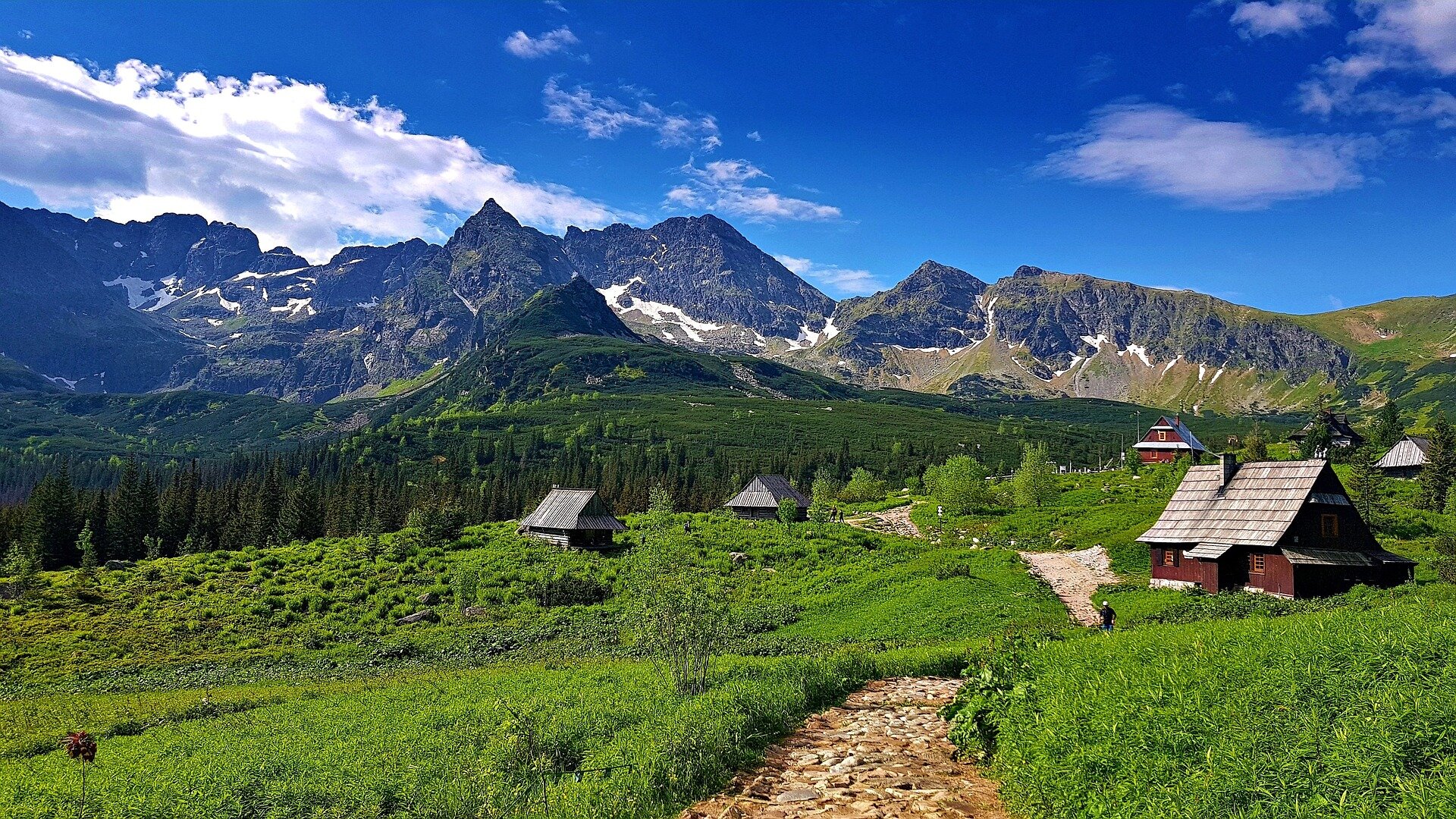 Zdjęcie przedstawia Tatry Wysokie. Ukazany jest zarośnięty wysoką trawą teren, na którym od lewej strony znajduję się mała dróżka wyłożona z kamienia. Po lewej i prawej stronie dróżki ukazane zostały pojedyncze domki. Za budynkami przedstawiono zalesiony teren, a za nim wysokie góry pokryte w niektórych miejscach śniegiem.