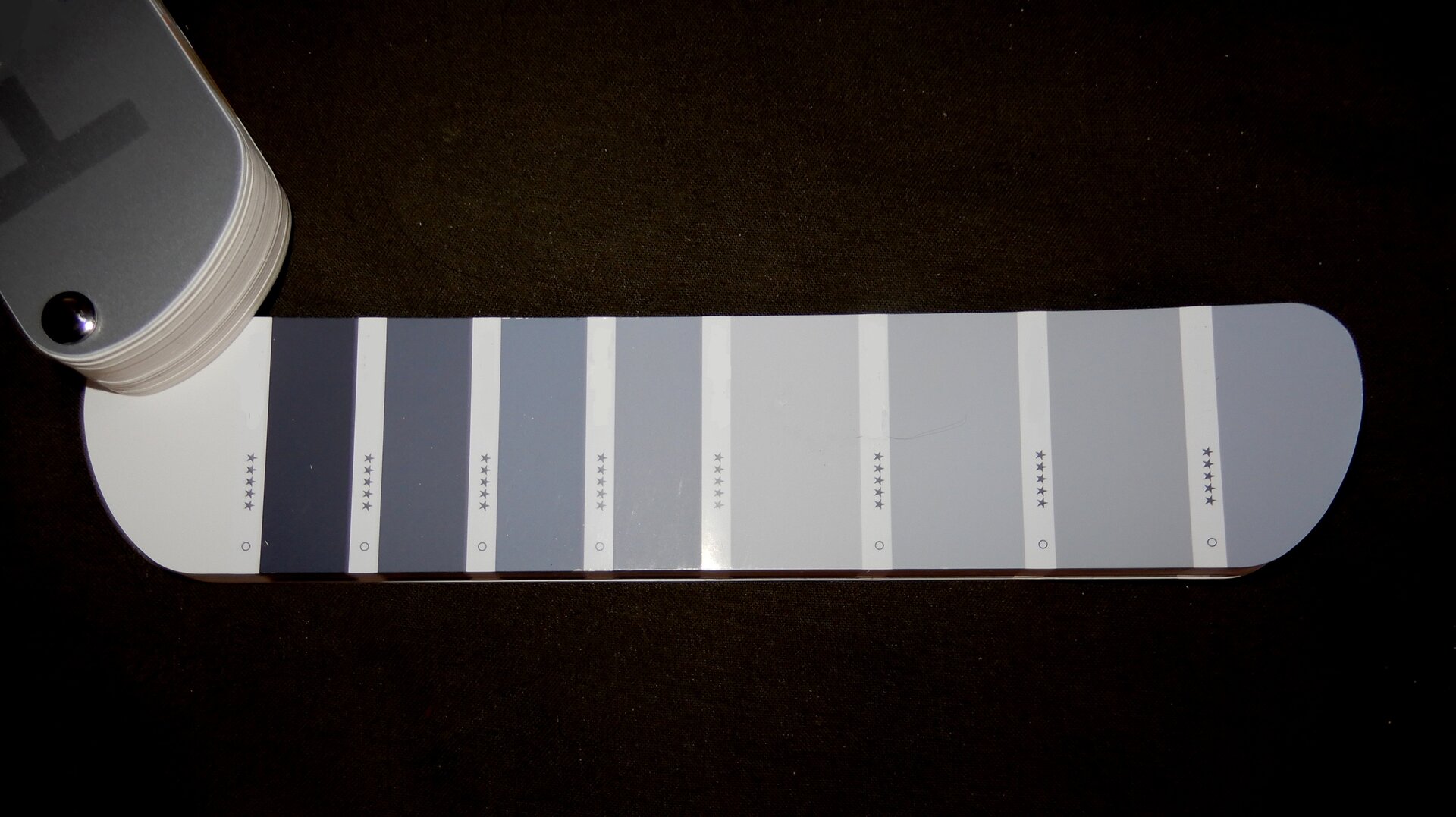 Ilustracja przedstawia próbnik kolorów. Ukazuje połączone paski, na których zamieszczone zostały kolory, tworzące zestawy monochromatyczne, pochodzące od koloru ciemnoszarego, który jest rozjaśniany, aż do bardzo jasnej szarości.