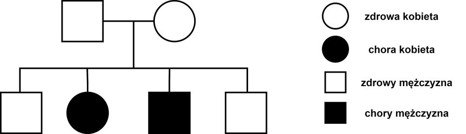Ilustracja przedstawia drzewo rodowe pewnej rodziny. Zdrowy mężczyzna i zdrowa kobieta mają czworo dzieci: zdrowego mężczyznę, chorą kobietę, chorego mężczyznę i zdrowego mężczyznę. Obok znajduje się legenda opisująca znajdujące się na schemacie symbole: białe koło to zdrowa kobieta, czarne koło to chora kobieta, biały kwadrat to zdrowy mężczyzna, a czarny kwadrat to chory mężczyzna. 