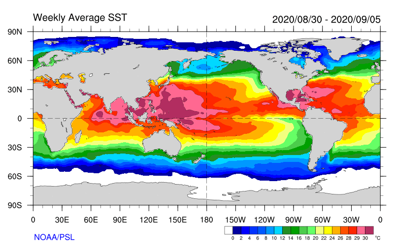 Mapa świata ilustruje średnią temperaturę wód oceanicznych w sierpniu 2020 r. Kontynenty zaznaczone są kolorem szarym, a morza i oceany oznaczone są różnymi kolorami, które symbolizują temperaturę wody w danym miejscu. Kolor biały to temperatura poniżej 0 stopni Celsjusza, kolor granatowy od 0 do 2 stopni Celsjusza, kolor niebieski w różnych odcieniach od najciemniejszego do najjaśniejszego symbolizuje temperaturę od 2 do 12 stopni Celsjusza, kolor zielony od najciemniejszego do najjaśniejszego symbolizuje temperaturę od 12 do 20 stopni Celsjusza, kolor żółty od najjaśniejszego do ciemniejszego temperaturę od 20 do 24 stopni Celsjusza, kolor pomarańczowy od 24 do 26 stopni Celsjusza, czerwony w dwóch odcieniach od 26 do 29 stopni Celsjusza a różowy w dwóch odcieniach od 29 do więcej niż 30 stopni Celsjusza. Kolor różowy występuje na znacznym obszarze nad Australią i Oceanią, kolor czerwony  sporą szerokością wzdłuż równika, powyżej i poniżej kolor pomarańczowy, dalej żółty, zielony, jasnoniebieski, granatowy, a w okolicach biegunów biały. 