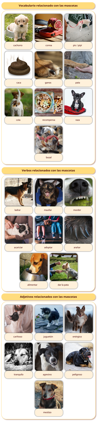Grafika zawiera zdjęcia związane ze zwierzętami z podpisami. Nagłówek pierwszy: Vocabulario relacionado con las mascotas. Poniżej: cachorro - szczeniak siedzący w misce na karmę, correa - smycz leżąca na deskach, pis / pipí - pies na smyczy sikający na ścianę, caca - kupa, garras - psie pazury, pata - łapa psa na dłoni człowieka, cola - pies ustawiony tyłem z widocznym ogonem, recompensa - miseczka z kolorowymi chrupkami w kształcie kostek, raza - buldog francuski leżący na poduszce, bozal - pies w kagańcu. Nagłówek drugi: Verbos relacionados con las mascotas. Poniżej: ladrar - szczekający pies, maullar - miauczący kot, morder - pies gryzący piłkę, acariciar - mały piesek trzymany na rękach i głaskany, adoptar - dzieci siedzące na sofie z psem pośrodku, arañar - zbliżenie na psie pazury, alimentar - pies jedzący z miski, dar la pata - mały pies na trawie dający komuś łapę. Nagłówek trzeci: Adjetivos relacionados con las mascotas. Poniżej: cariñoso - buldog kierujący pysk do twarzy człowieka, juguetón - kot bawiący się kwiatkiem, enérgico - biegnący pies, tranquilo - śpiący pies, agresivo - pies z wyszczerzonymi zębami, peligroso - rotwailer w kagańcu, mestizo - kundel w obroży.