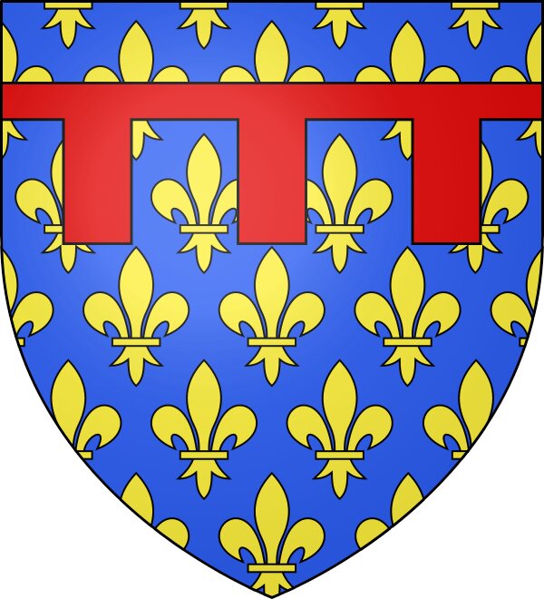 Ilustracja przedstawia herb Andegawenów. Jest on w kształcie tarczy z zaostrzonym dołem oraz z płaską górą. Herb posiada niebieskie tło, pokryte występującymi obok siebie żółtymi liliami francuskimi. W górnej części przecina go poziomy, czerwony pas, od którego w dół odchodzą trzy kwadraty.