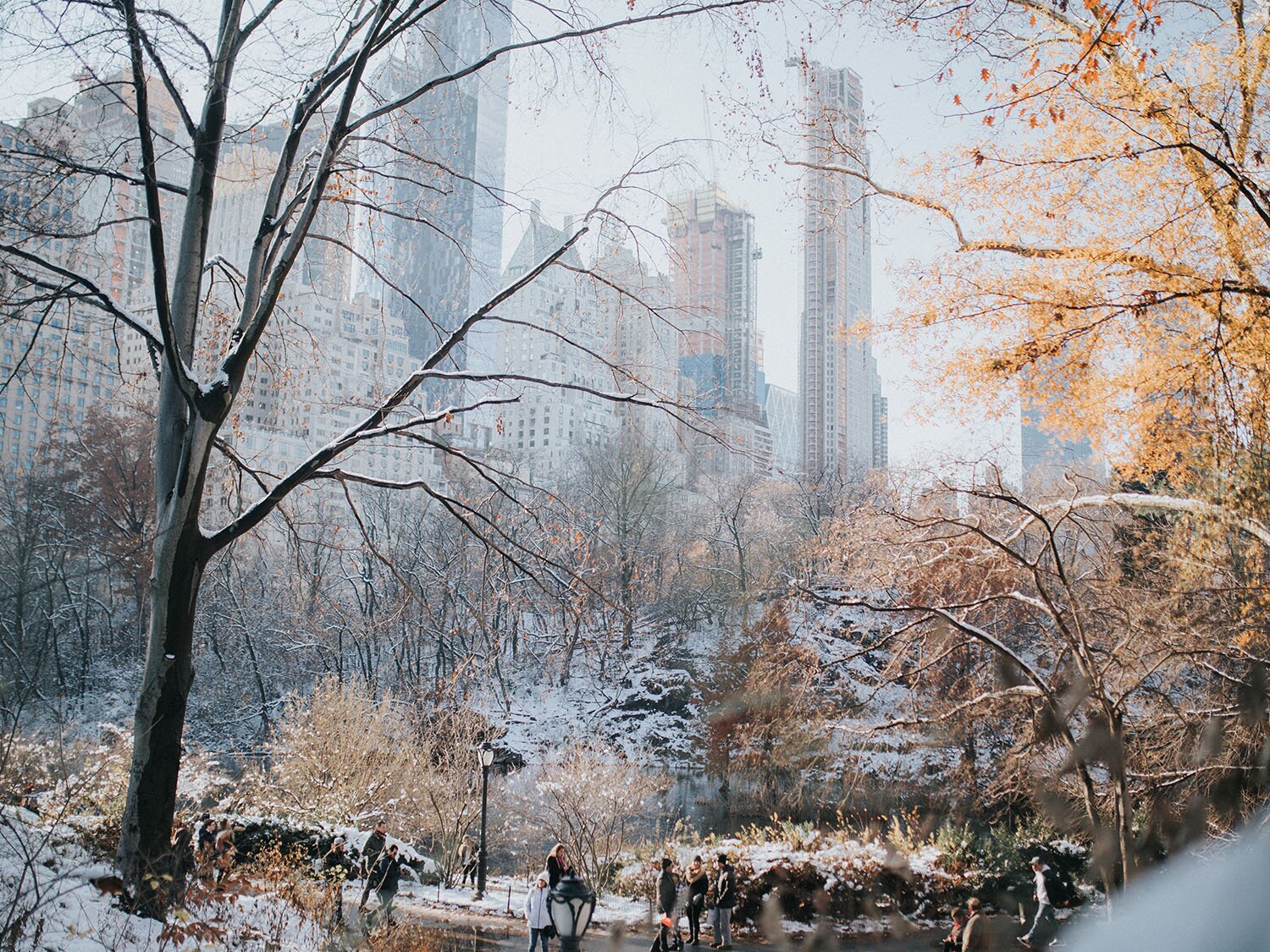 Zdjęcie przedstawia zimowy krajobraz Central Parku w Nowym  Yorku. Na pierwszym planie widoczne są ośnieżone drzewa i krzewy. W tle widoczne są zarysy wieżowców o różnej wysokości.