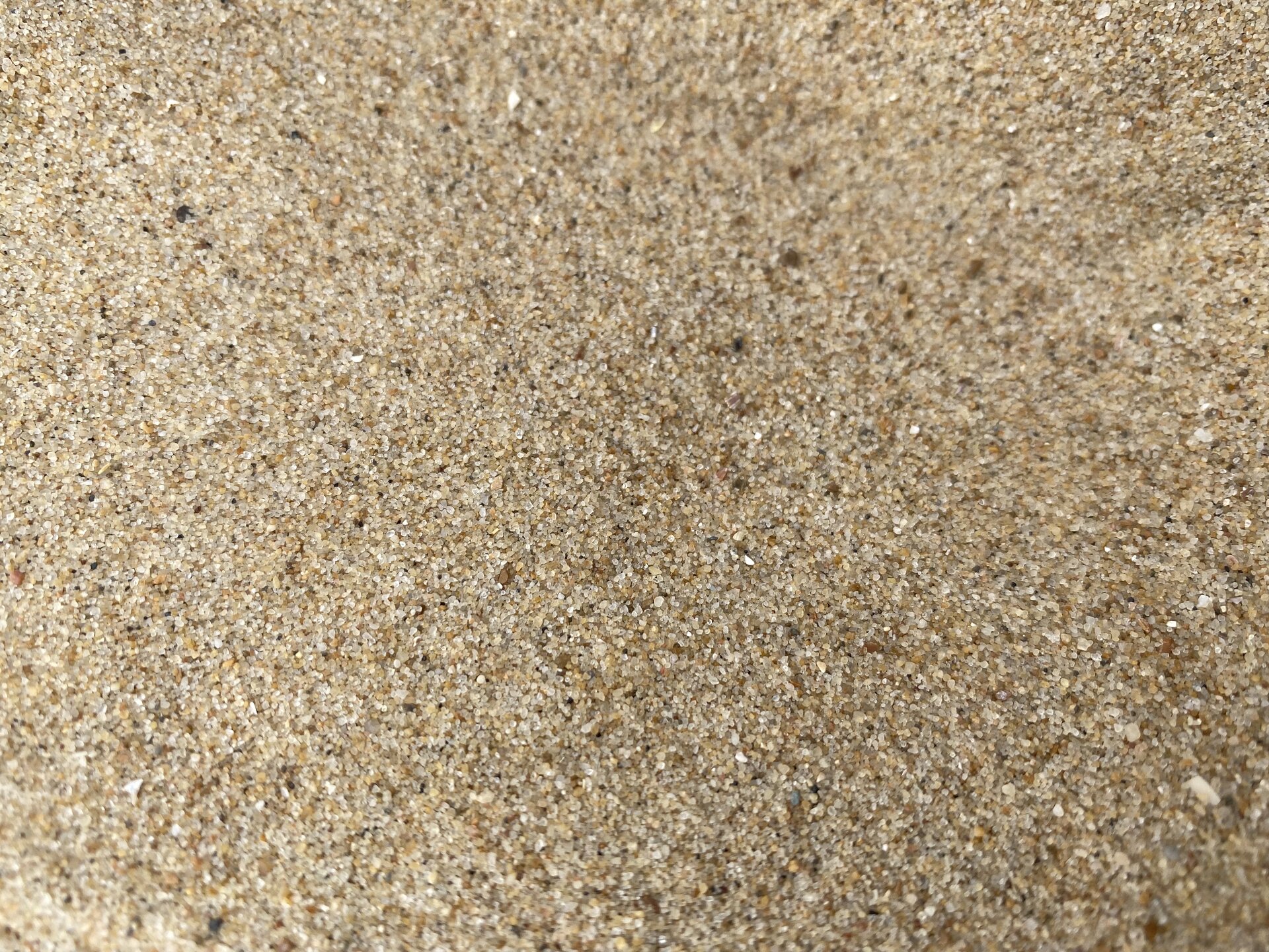 Fotografia jasnego, drobnego piasku.